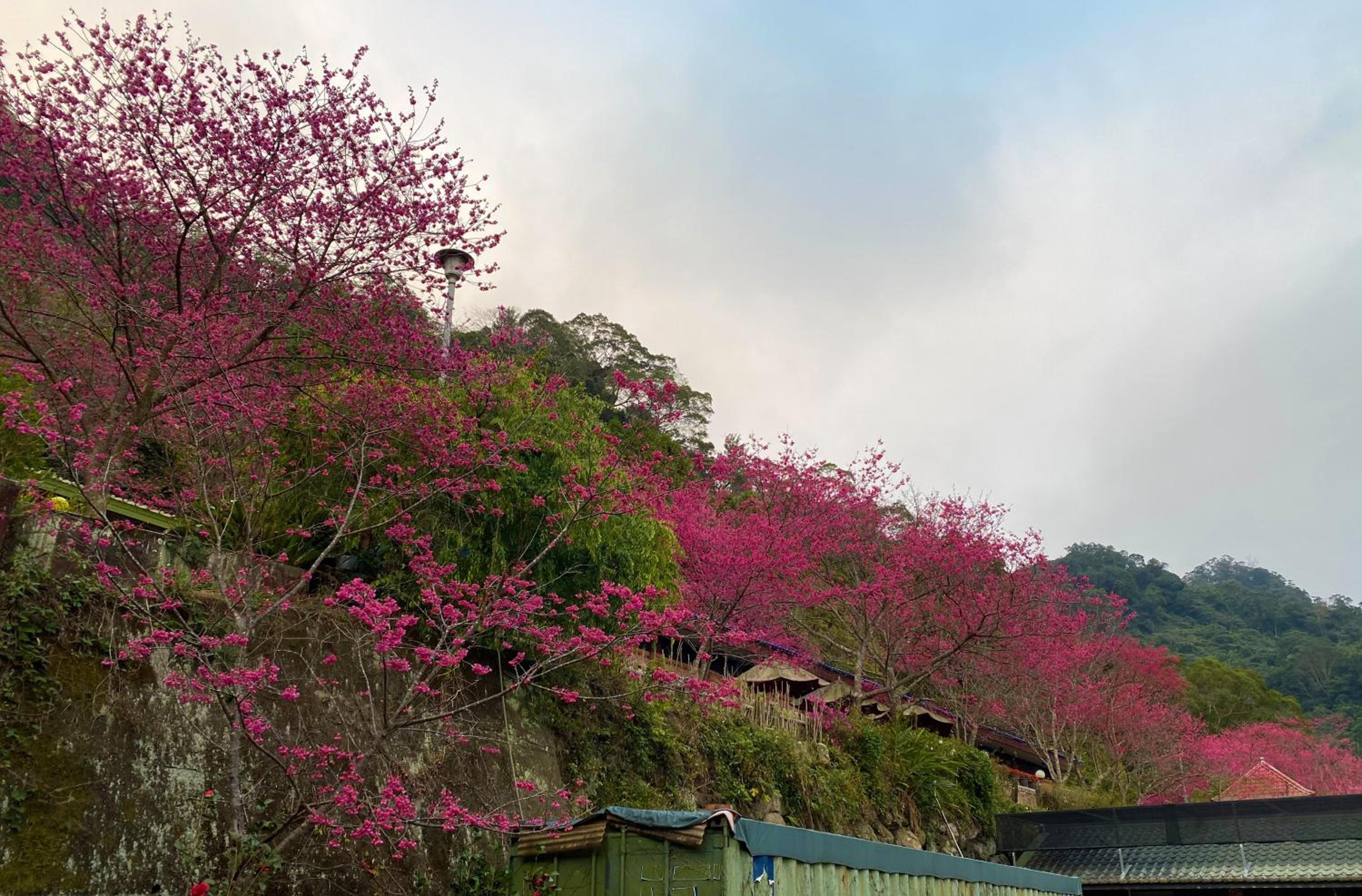 Xianshan Homestay