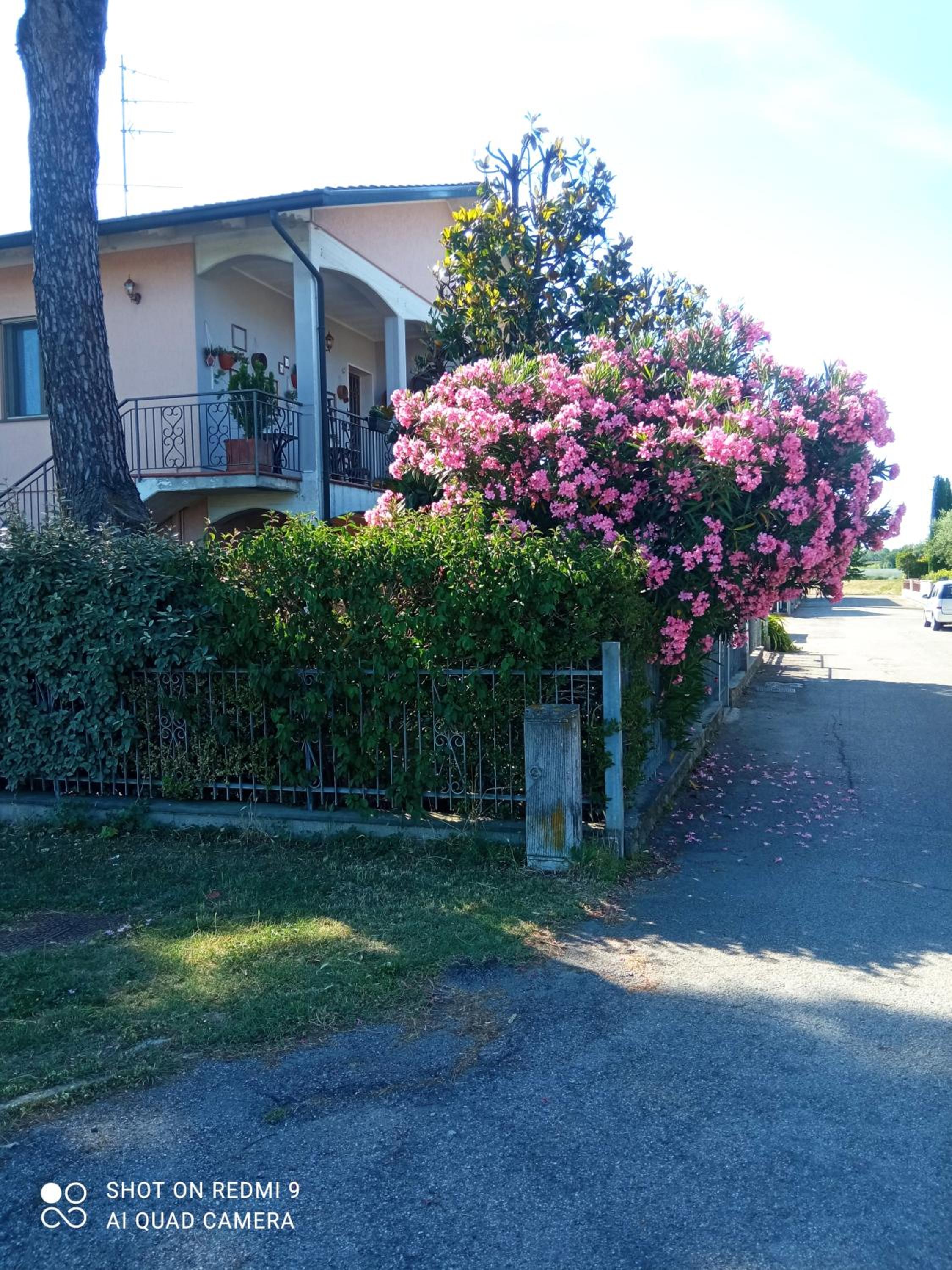 Casa Vintago b&b photo 3