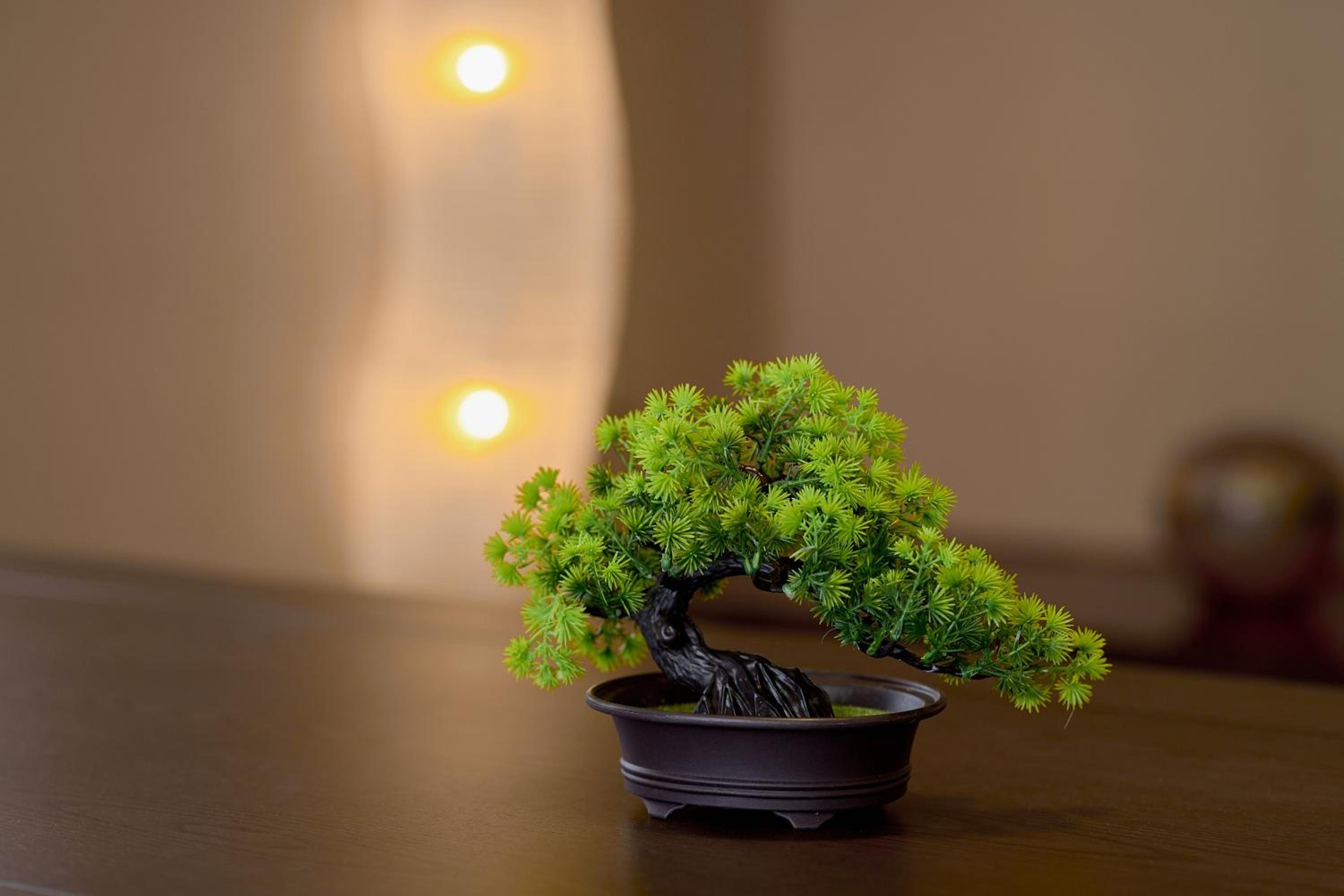 RISA INN Fuji