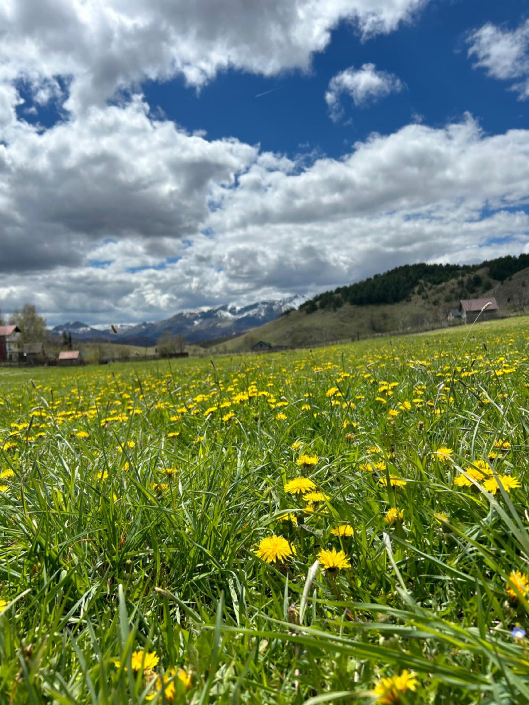 Holiday home Mons Albis Bjelašnica