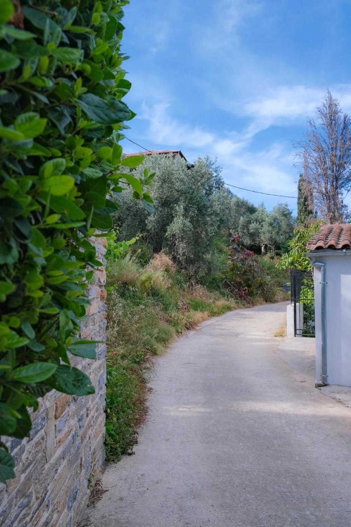 Rosemary Studio