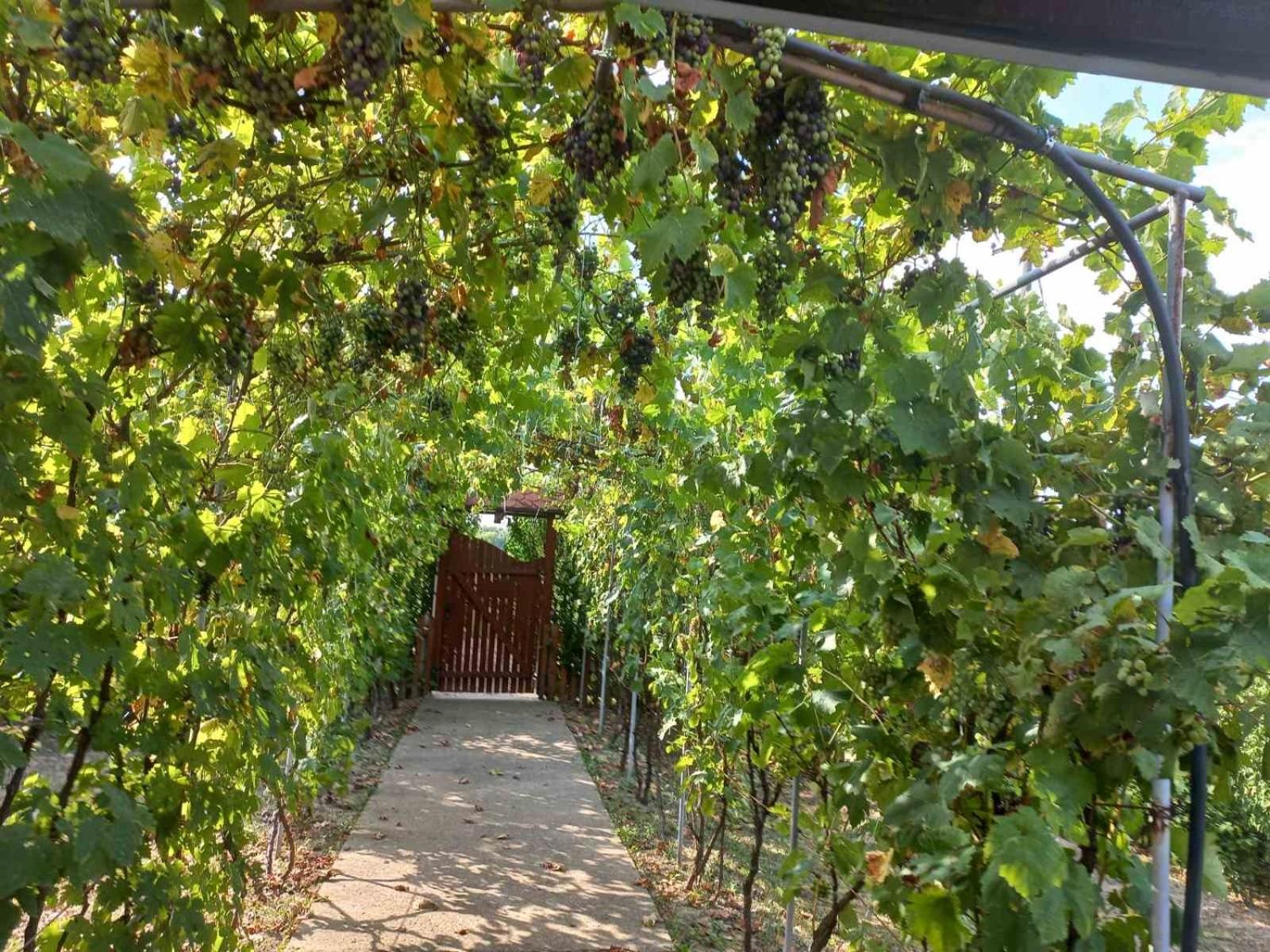 Kuća za odmor Simonida, Vrnjačka banja