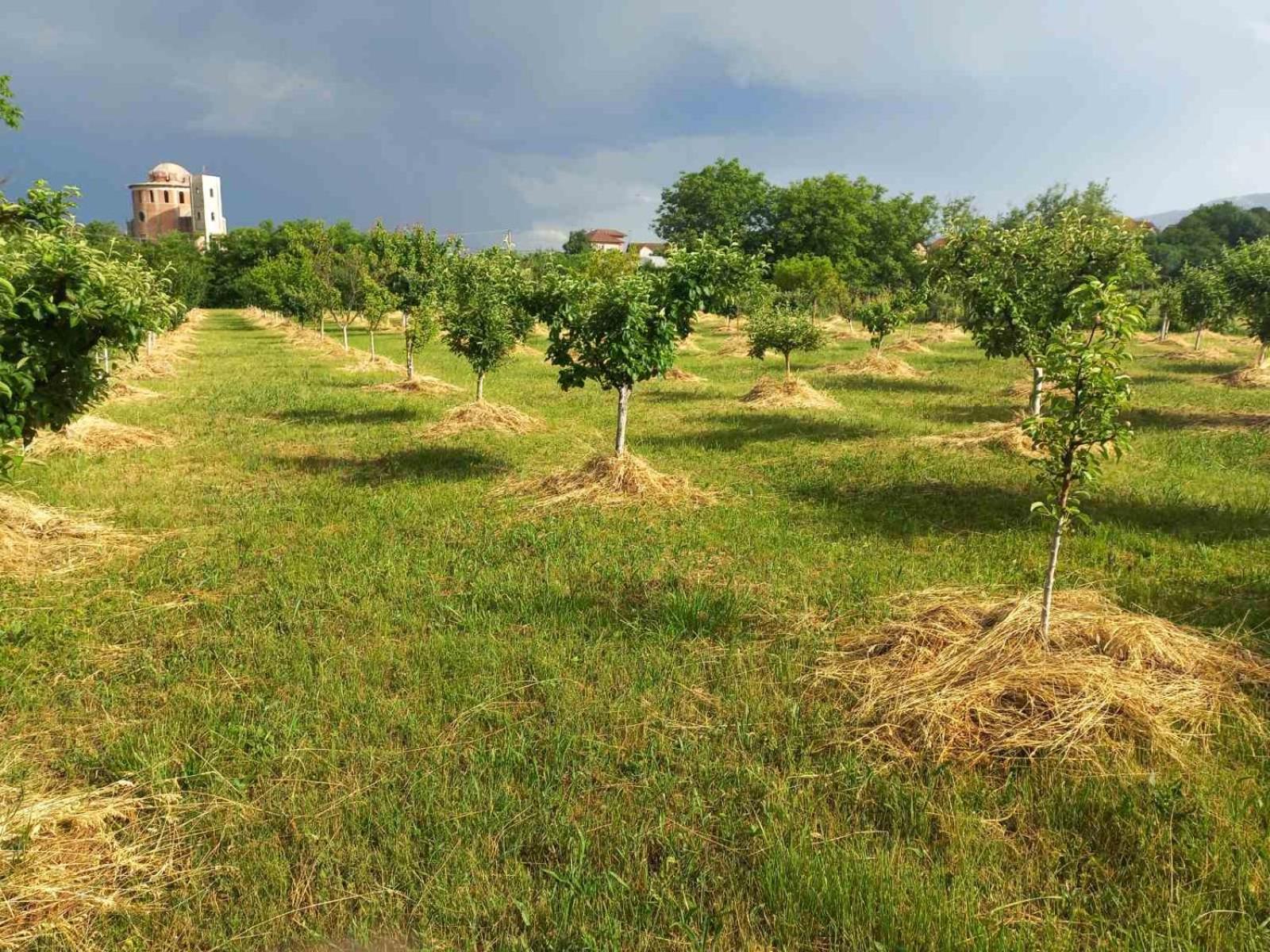 Kuća za odmor Simonida, Vrnjačka banja