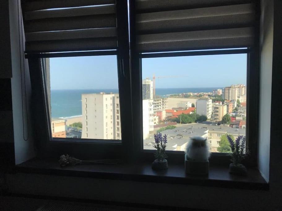 Bella apartment view