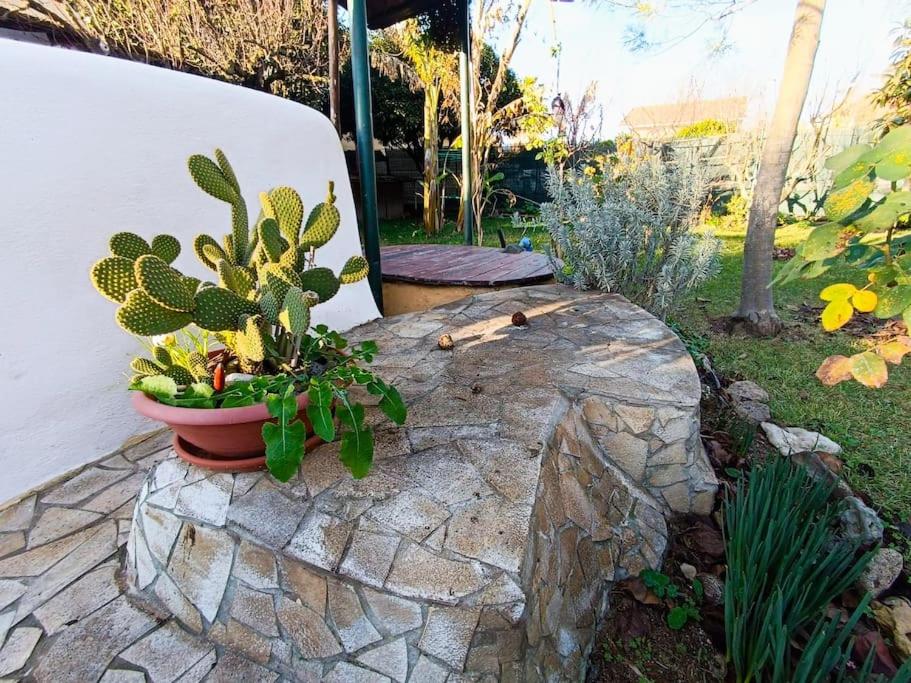 Long Green House photo 2