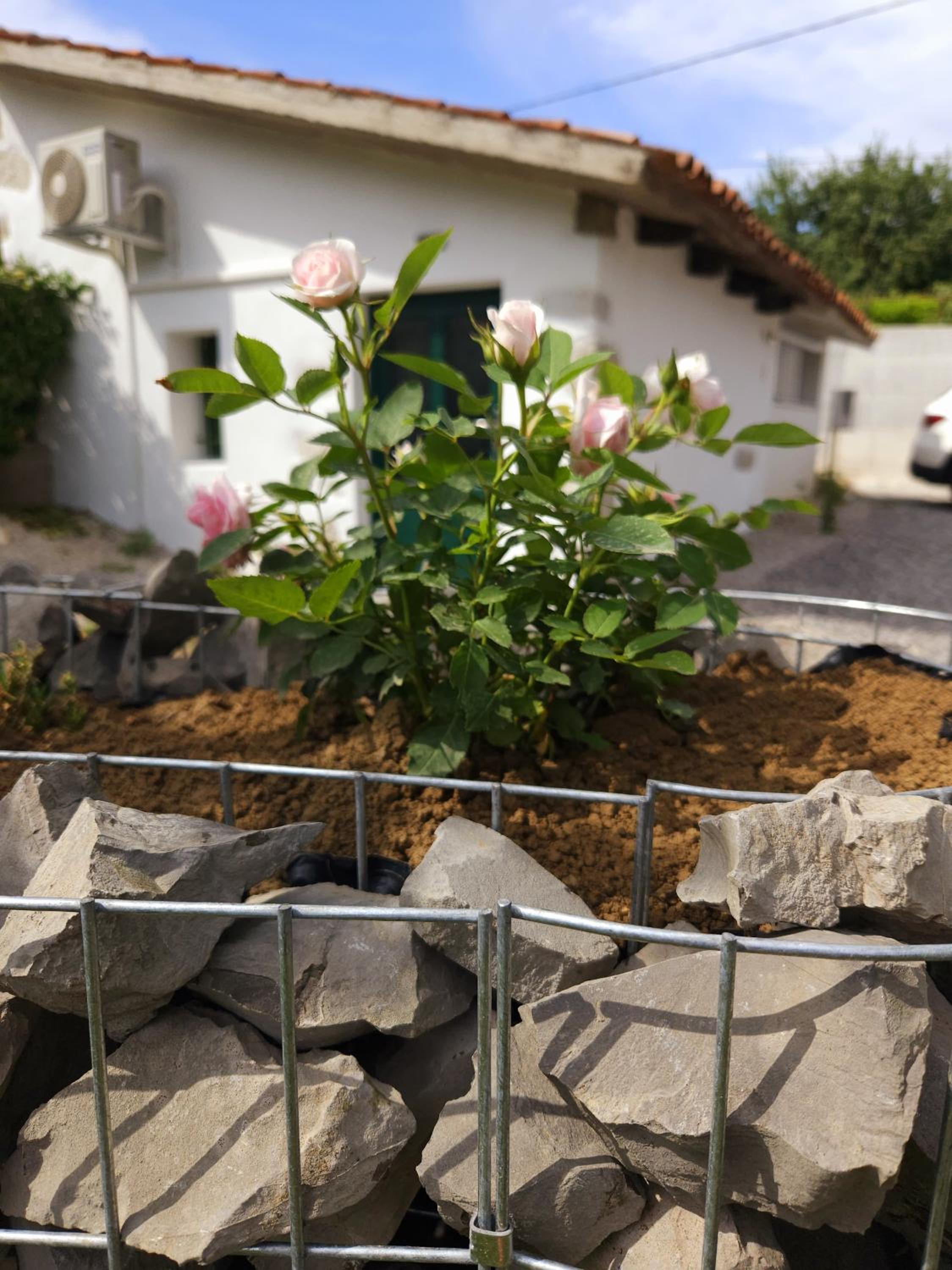 Apartma Lavanda