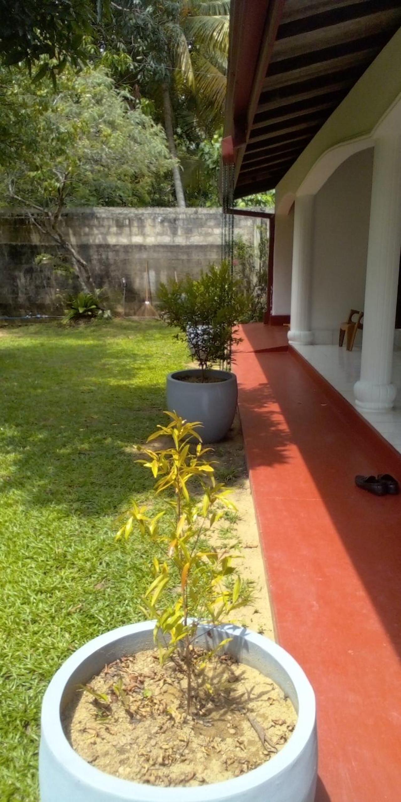 Quiet Comfort view 5