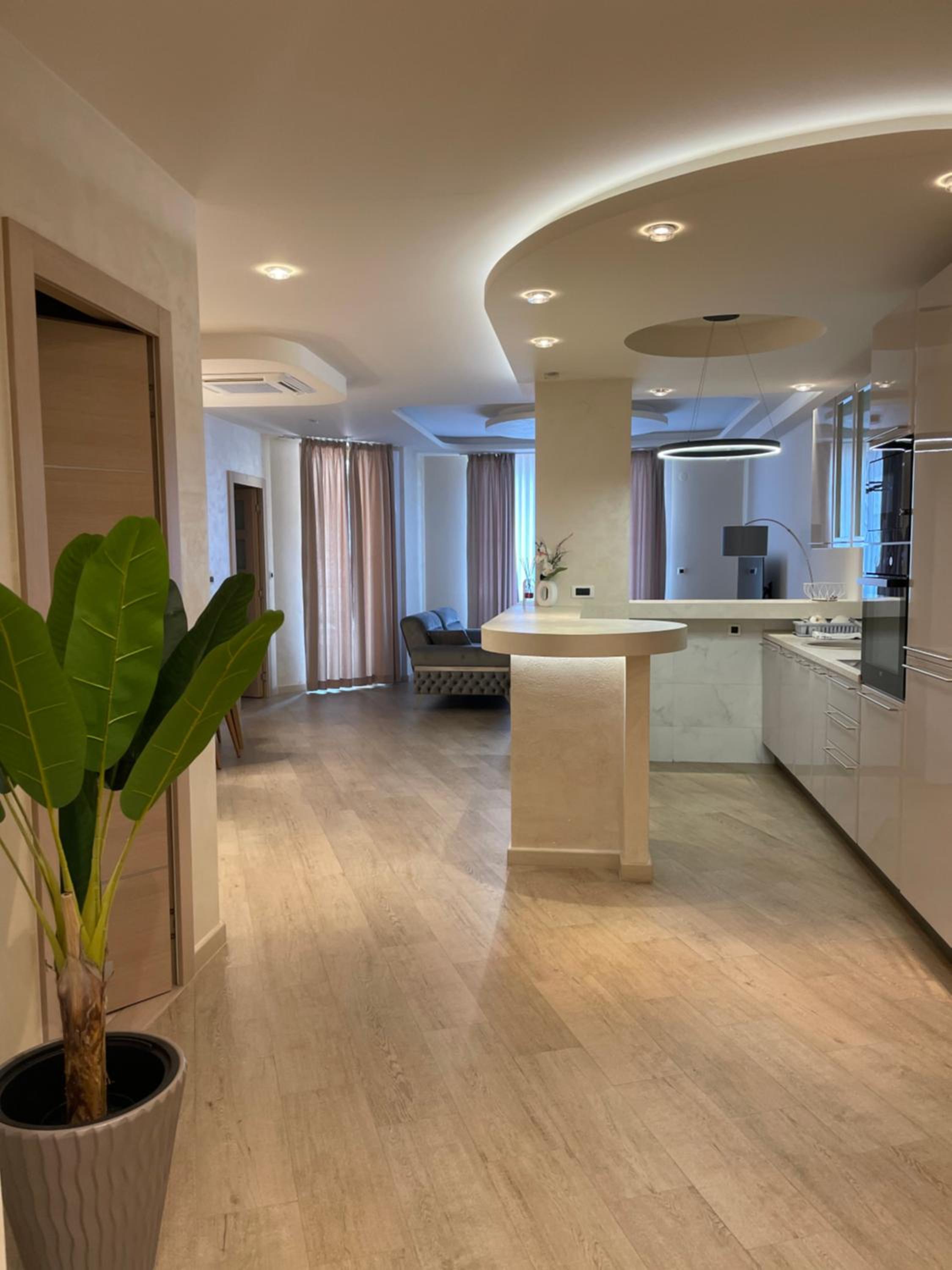 Luxury Apartment