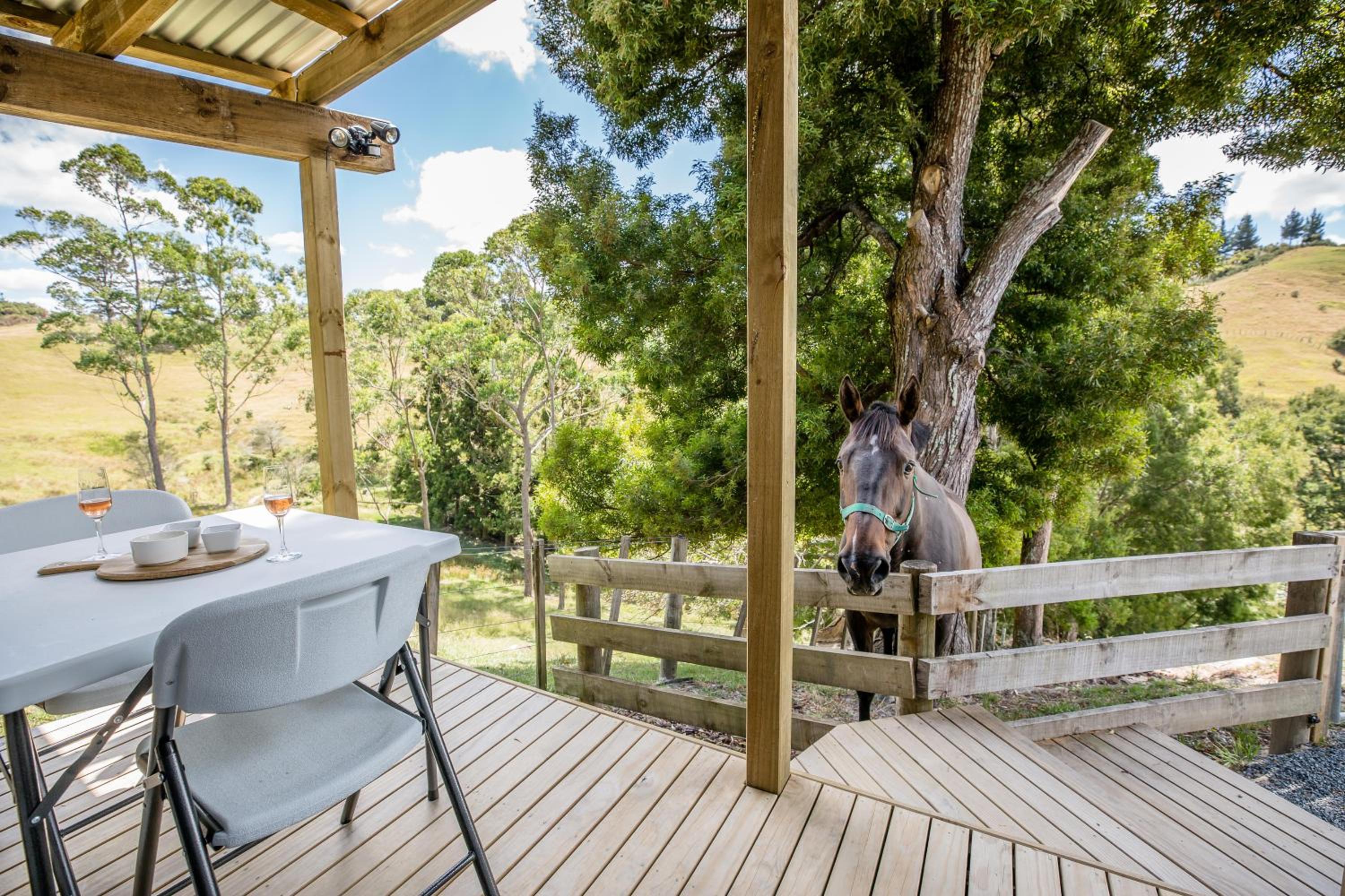 Private Cabin close to the City Centre