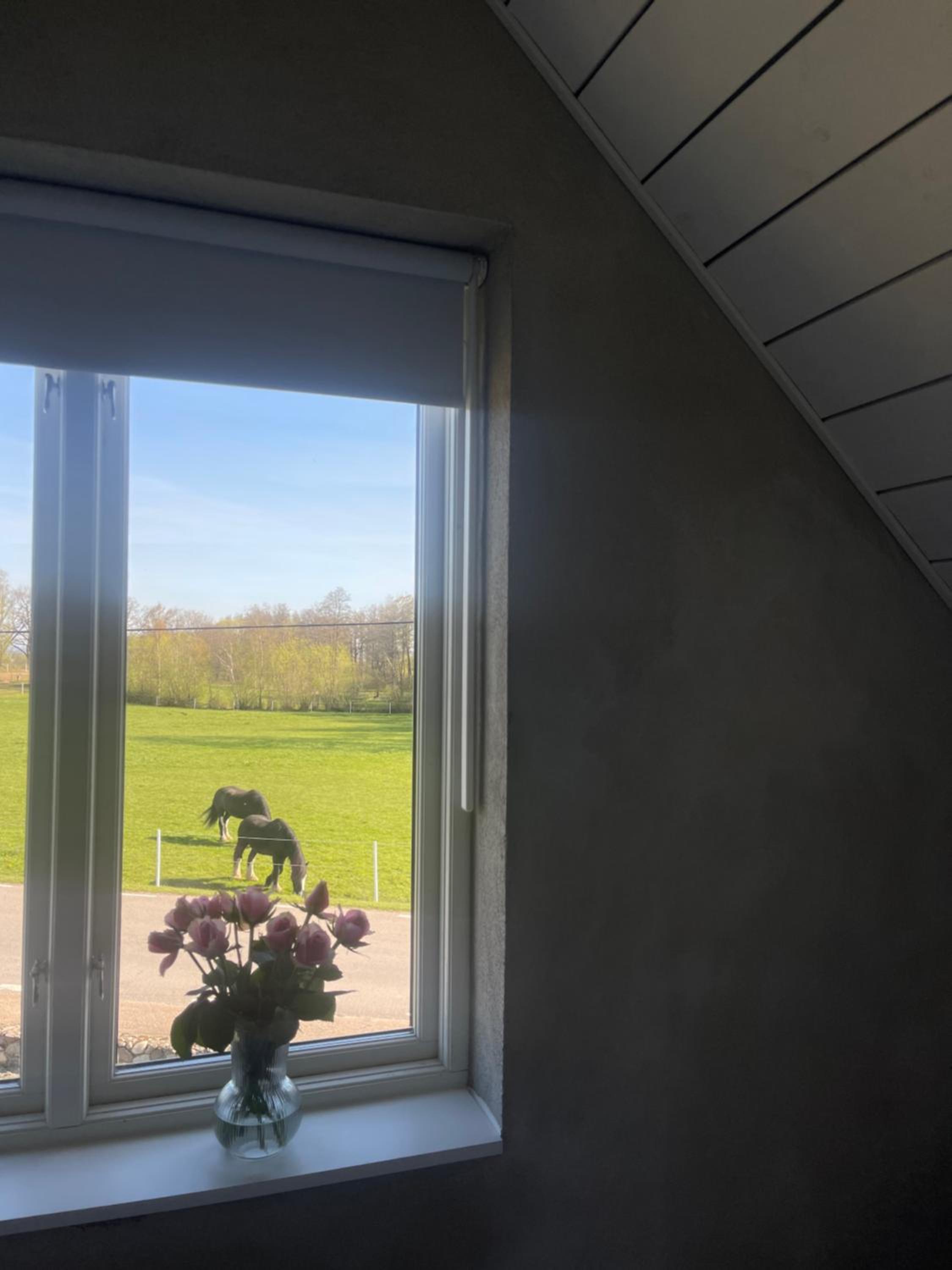 Scandinavian Haven view 2