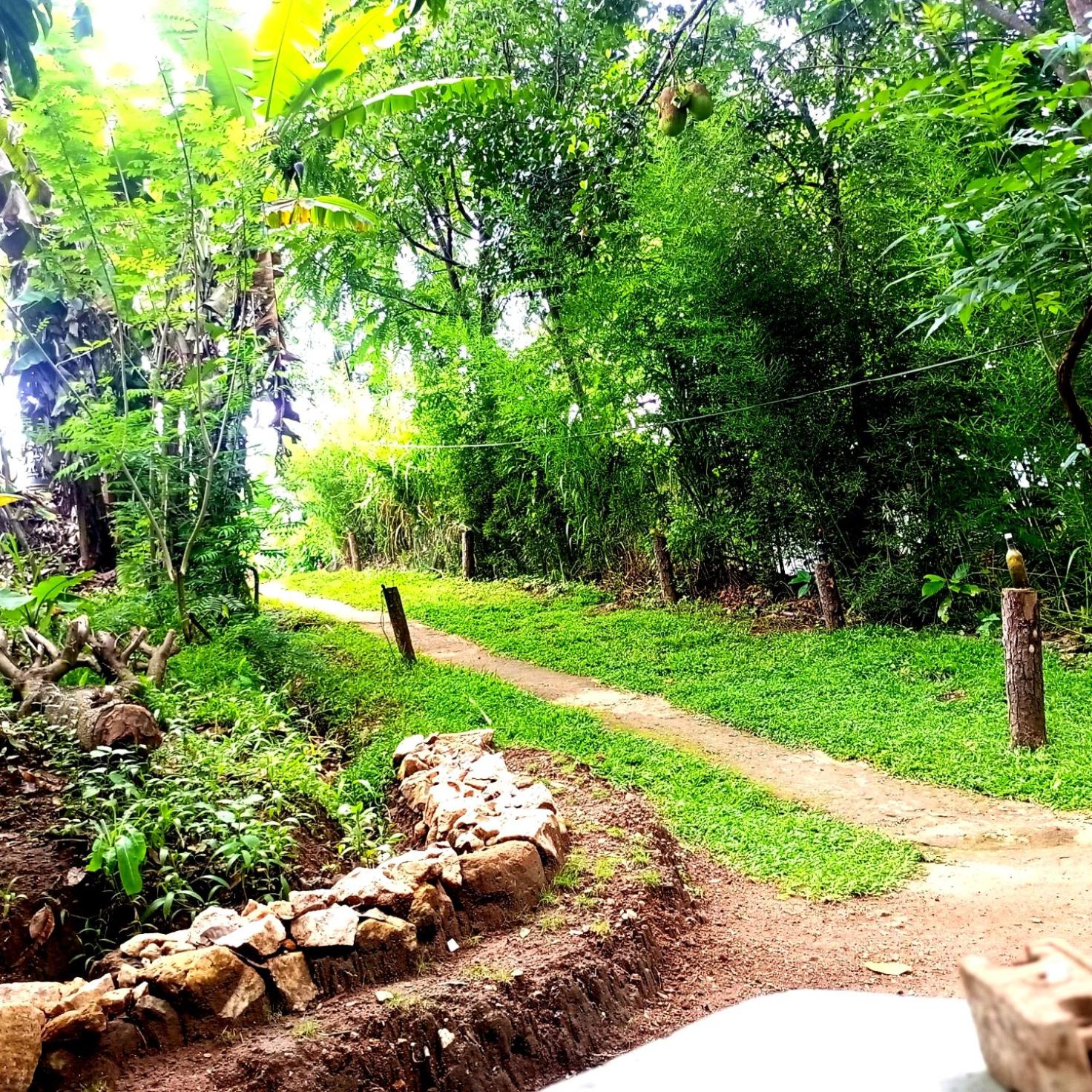 Ella ForRest hostel view 3
