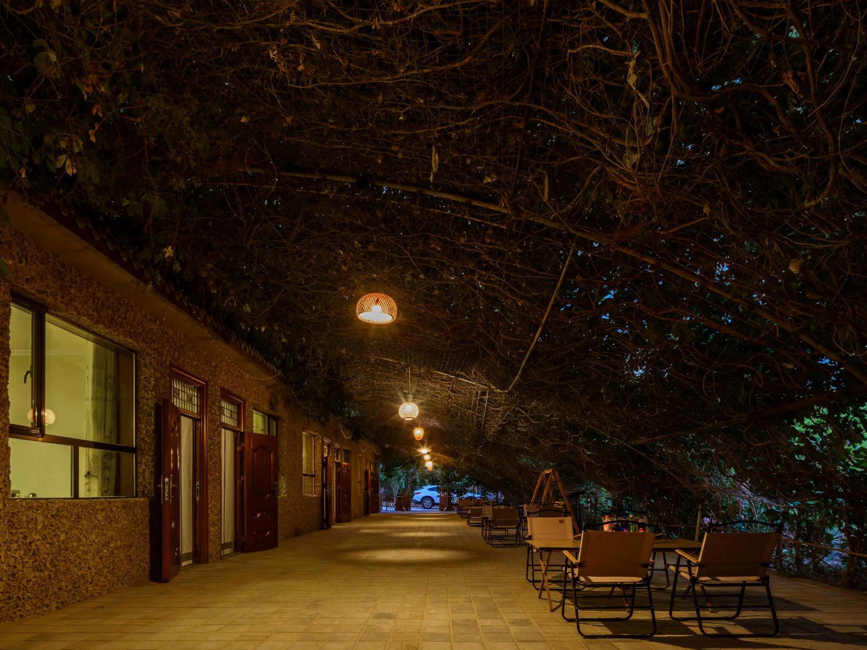 Dunhuang Hu Yang Inn