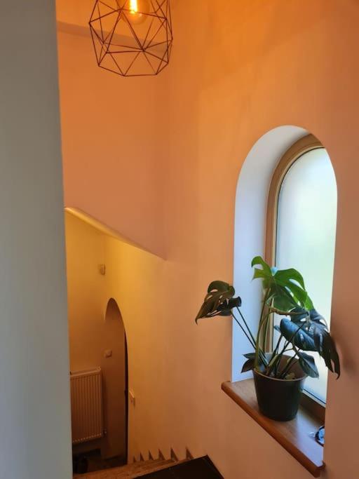 Independent studio in a villa with garden view 2