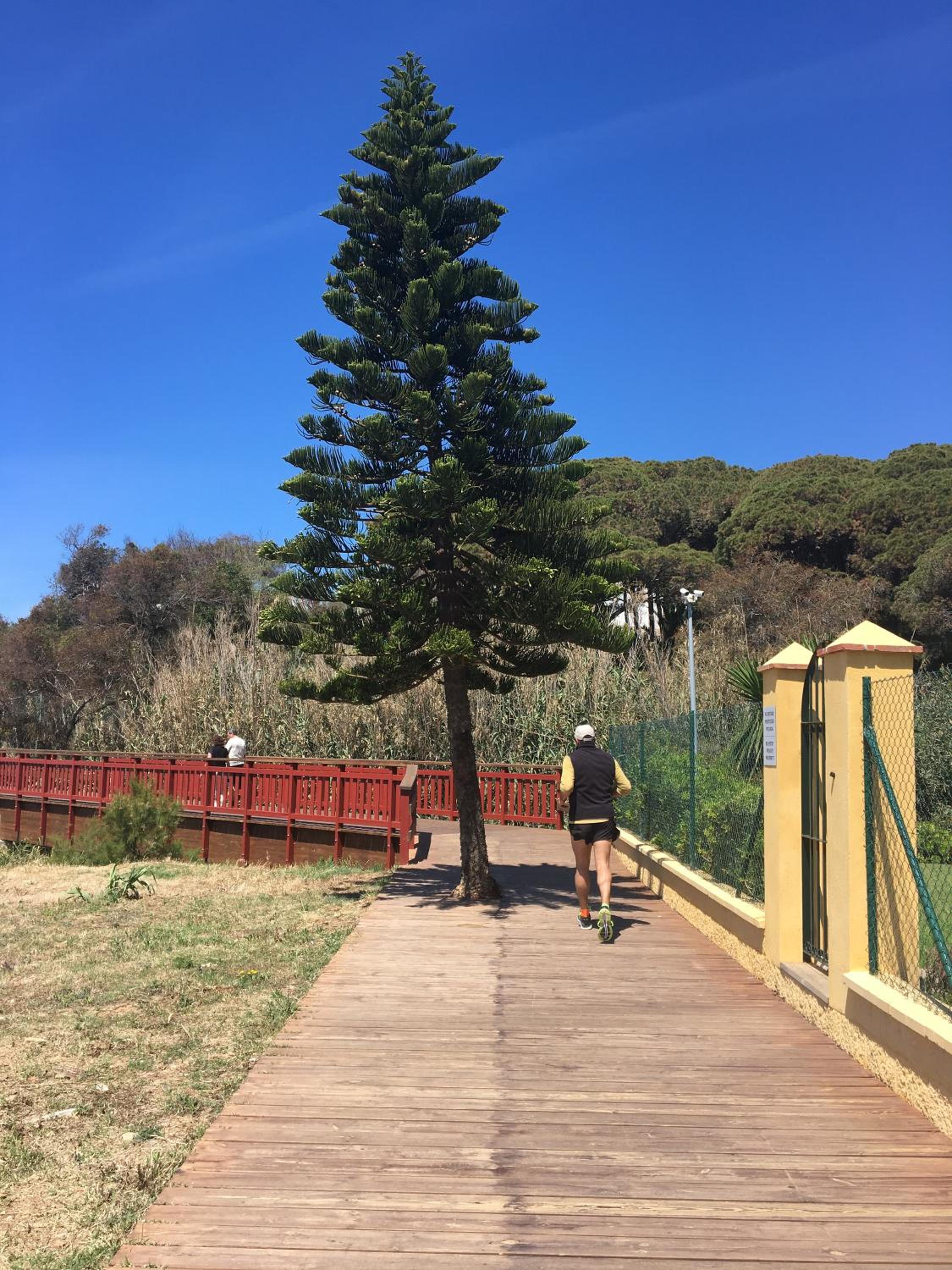 Calahonda playa