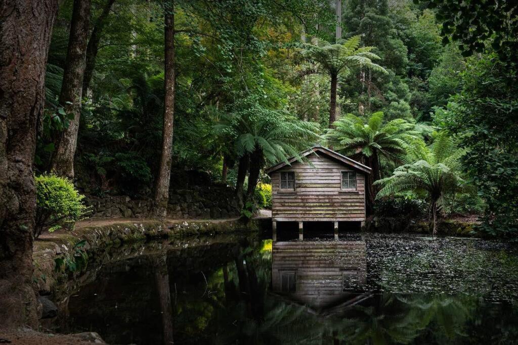 Luxury Treetop Escape with a Garden glasshouse
