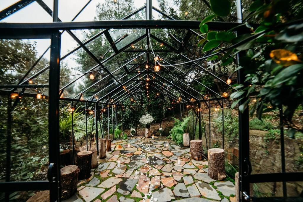 Luxury Treetop Escape with a Garden glasshouse