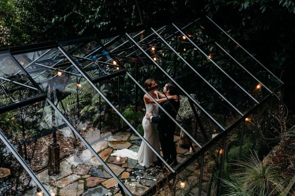 Luxury Treetop Escape with a Garden glasshouse