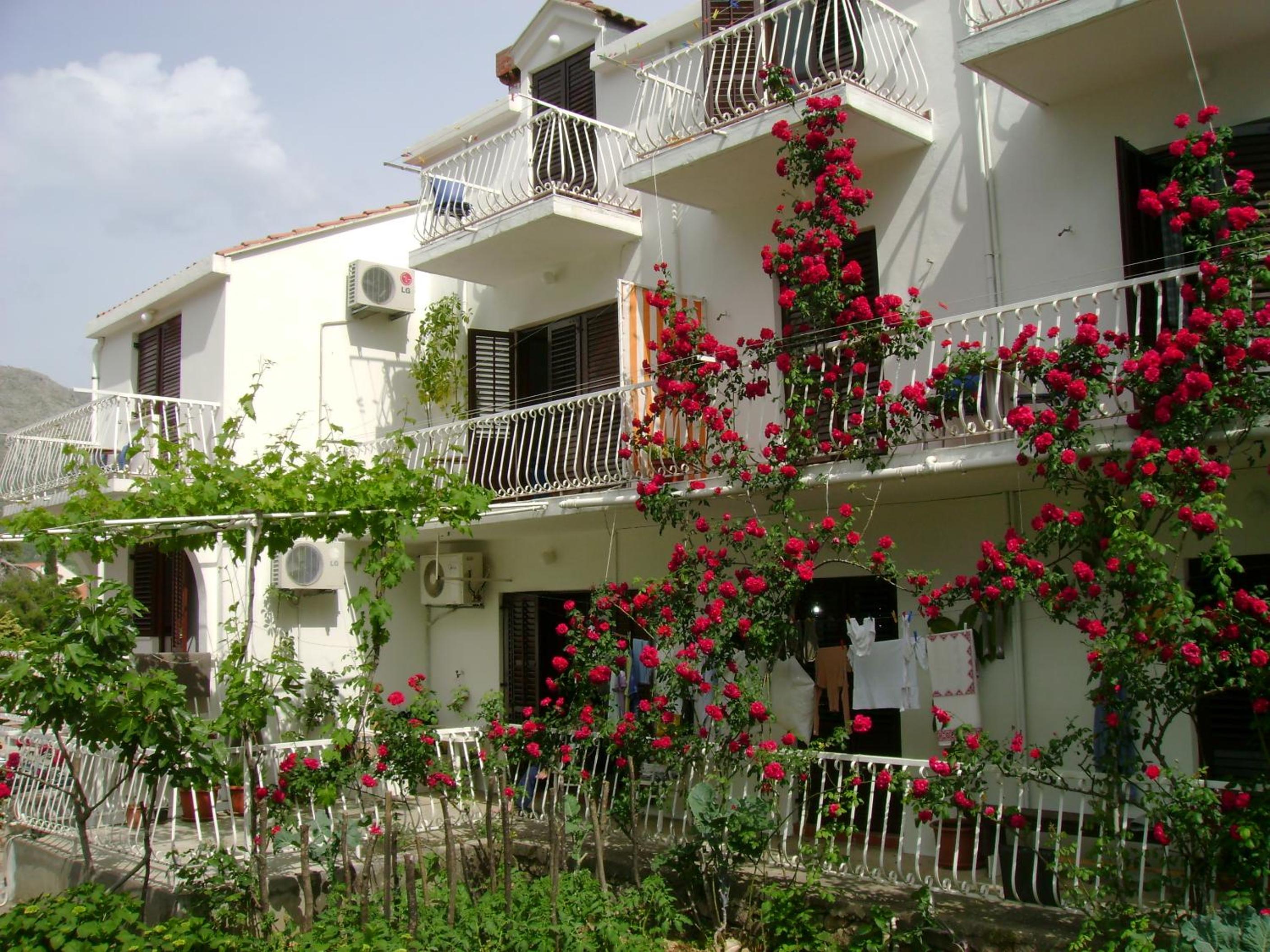 Cavtat Vacations - Villa Anka 2 - Property Image 104