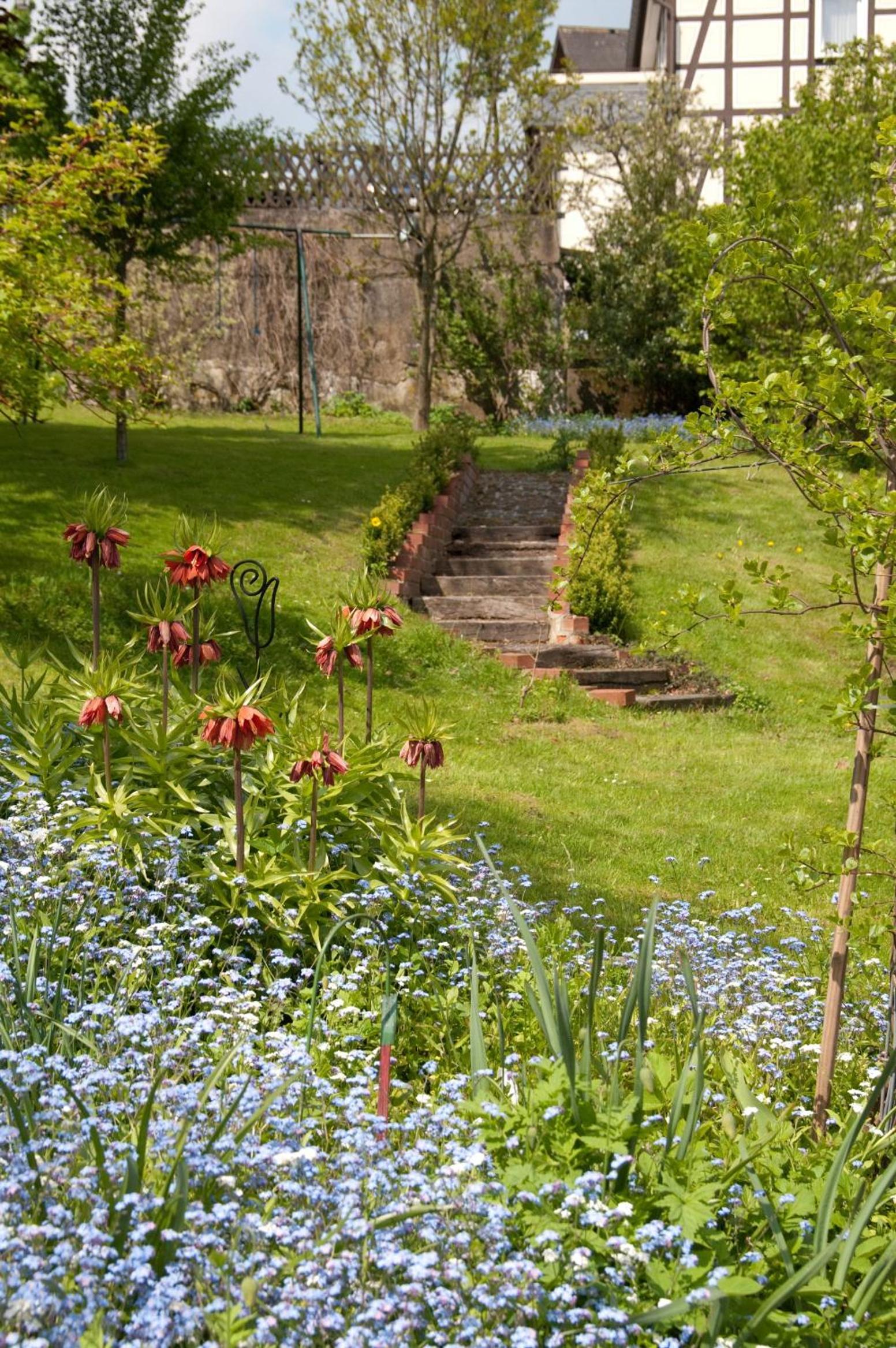 Ferienwohnungen Lindenhof
