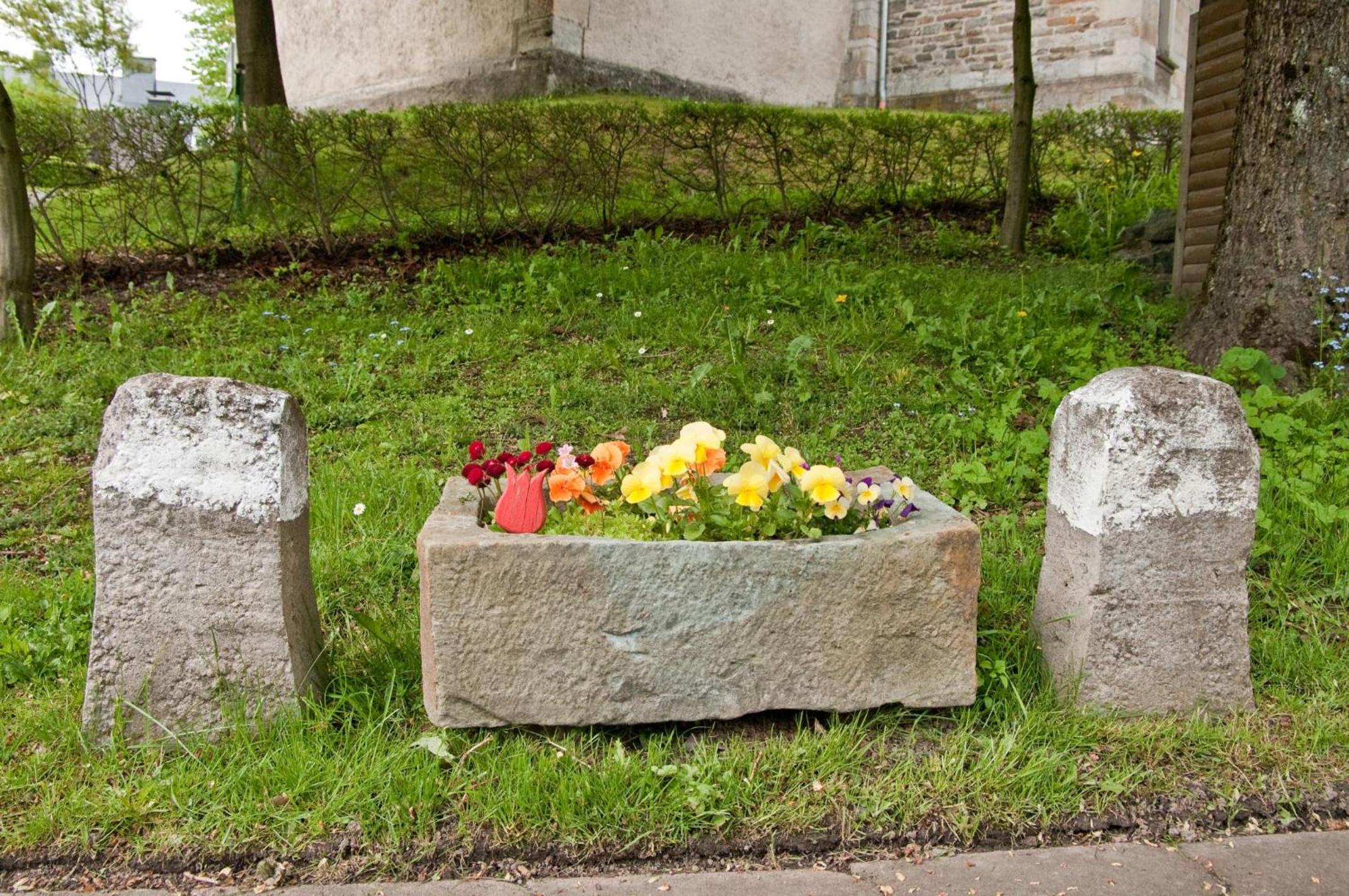 Ferienwohnungen Lindenhof