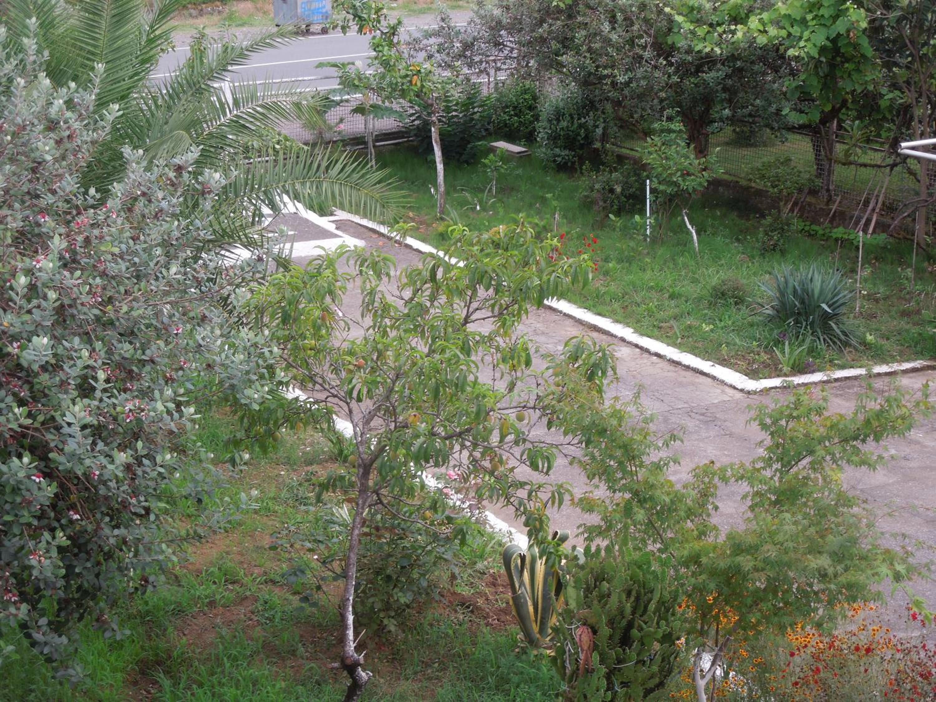 azahostel