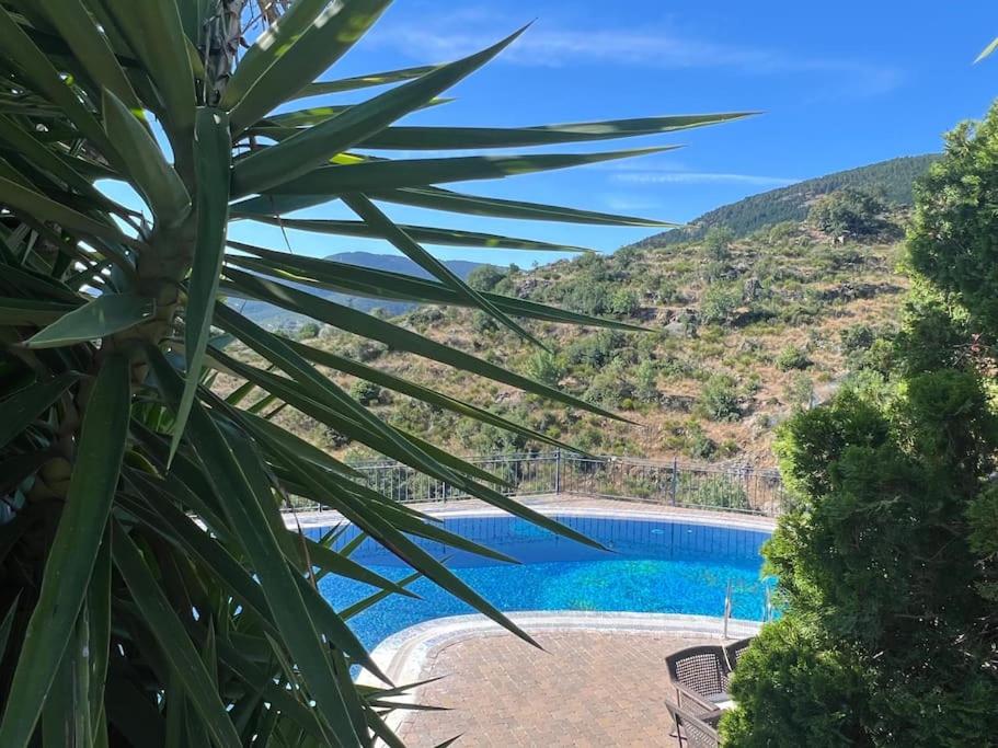 Mansión con Jacuzzi a 40 grados, gran piscina y Pádel view 3