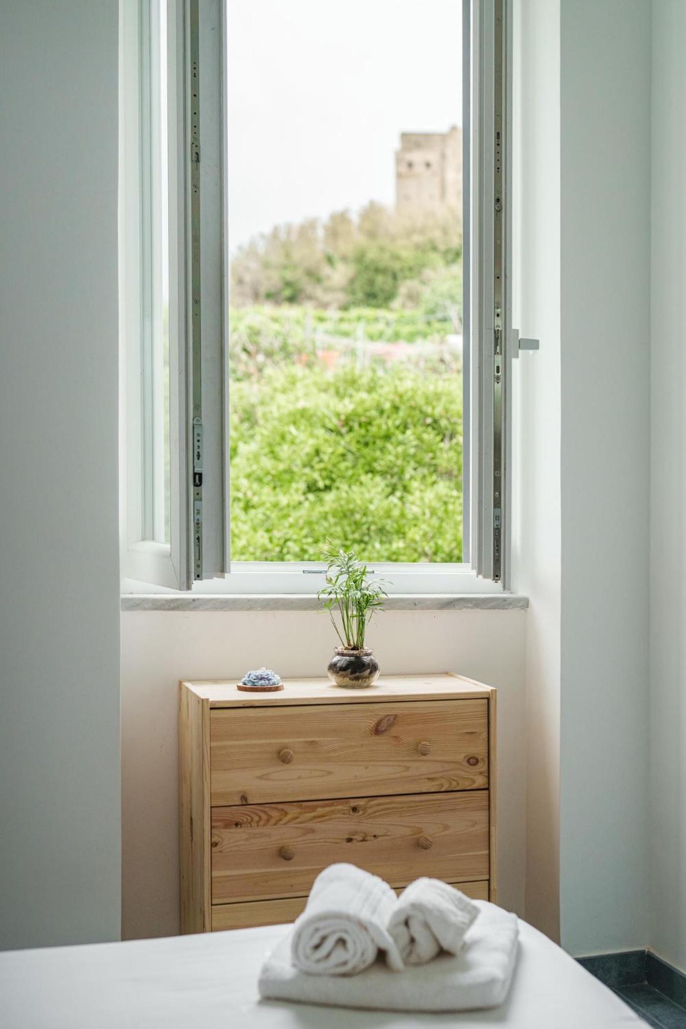 Il Poeta nella Vigna photo 4