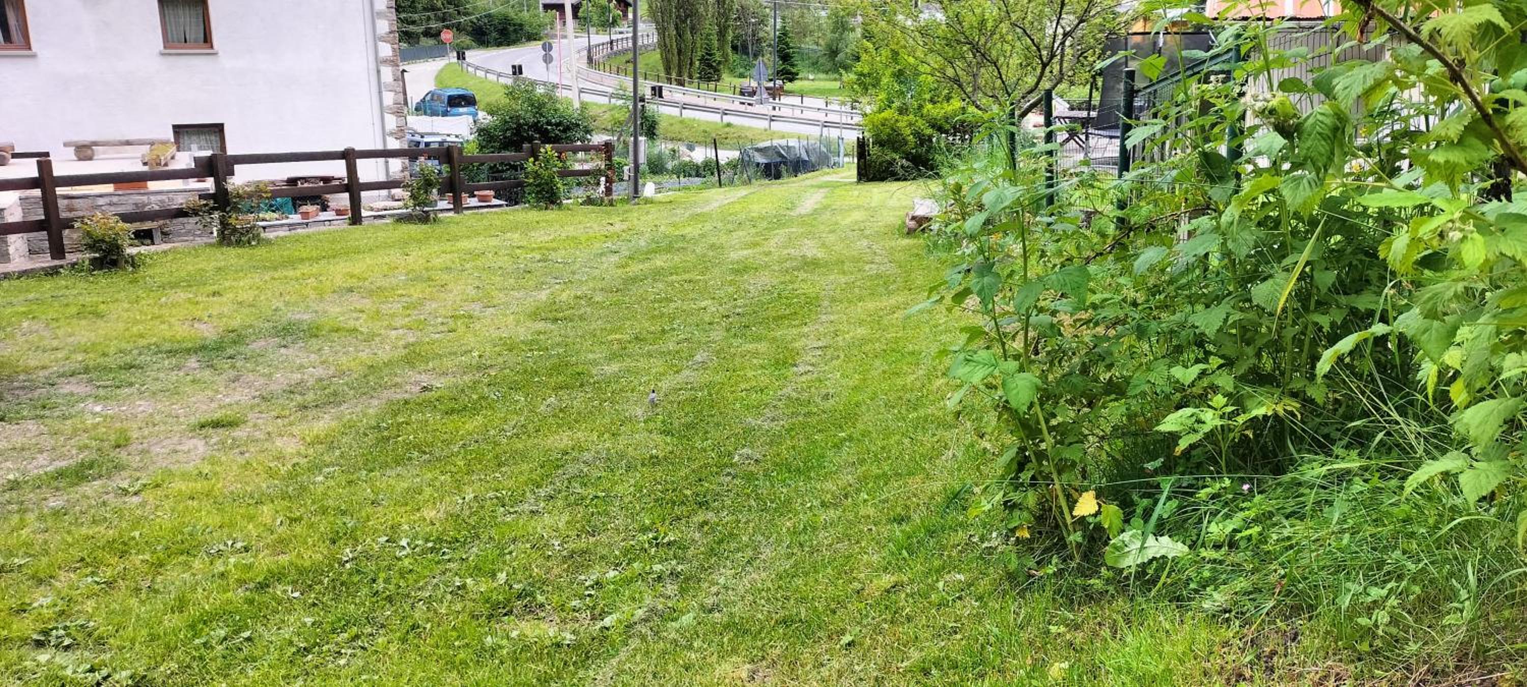 Photo 22