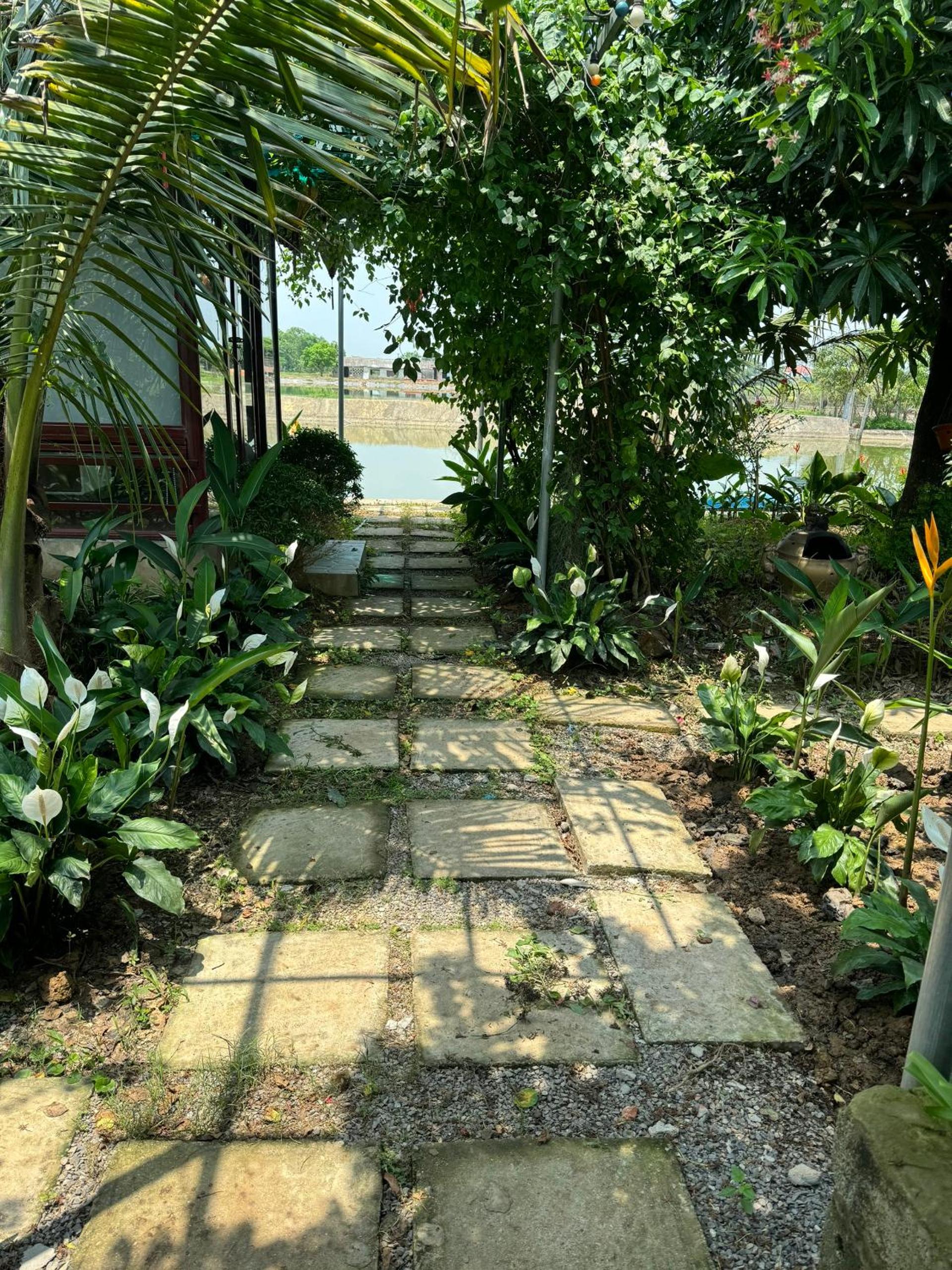 Photo 19