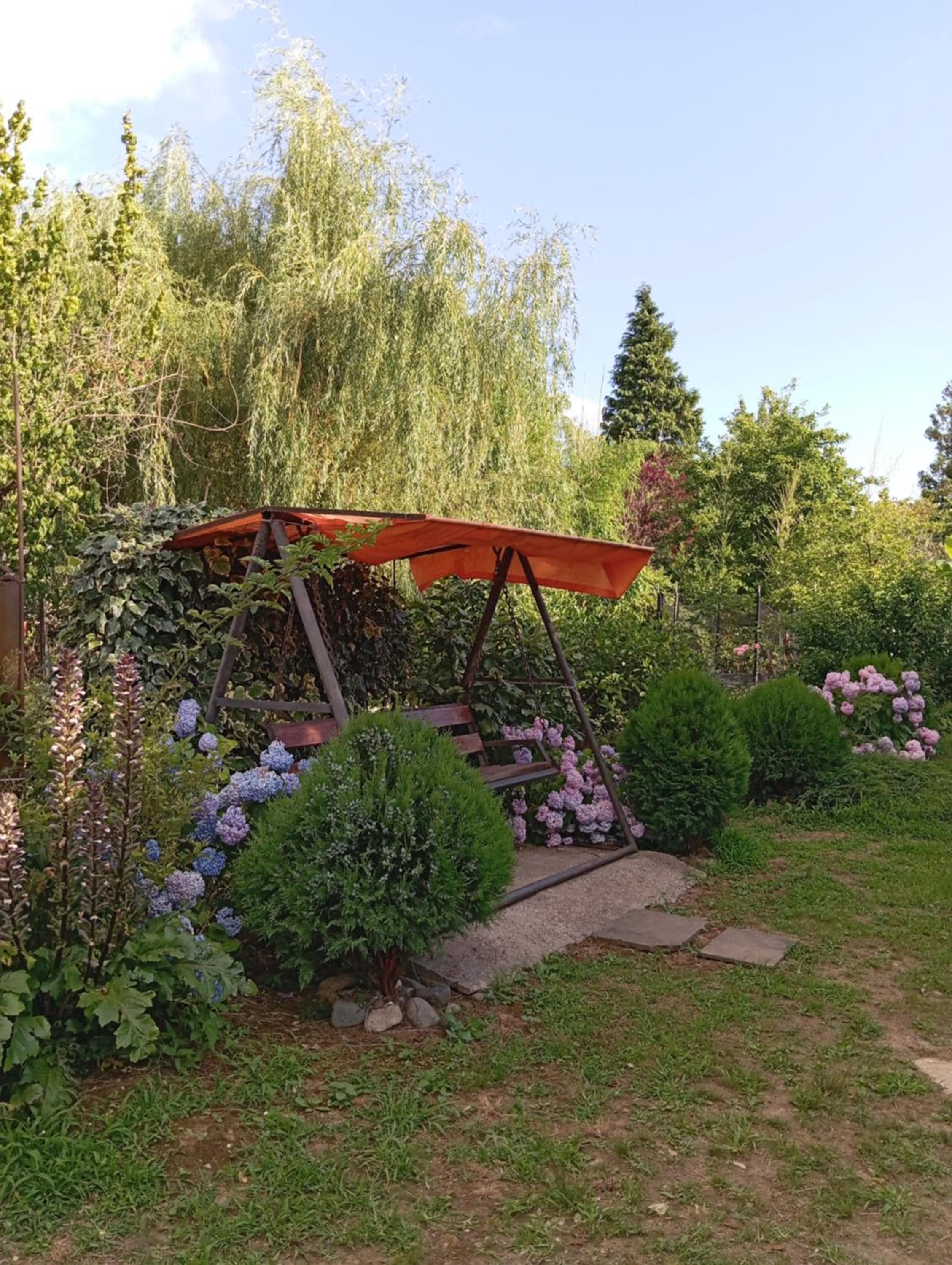 Photo 15