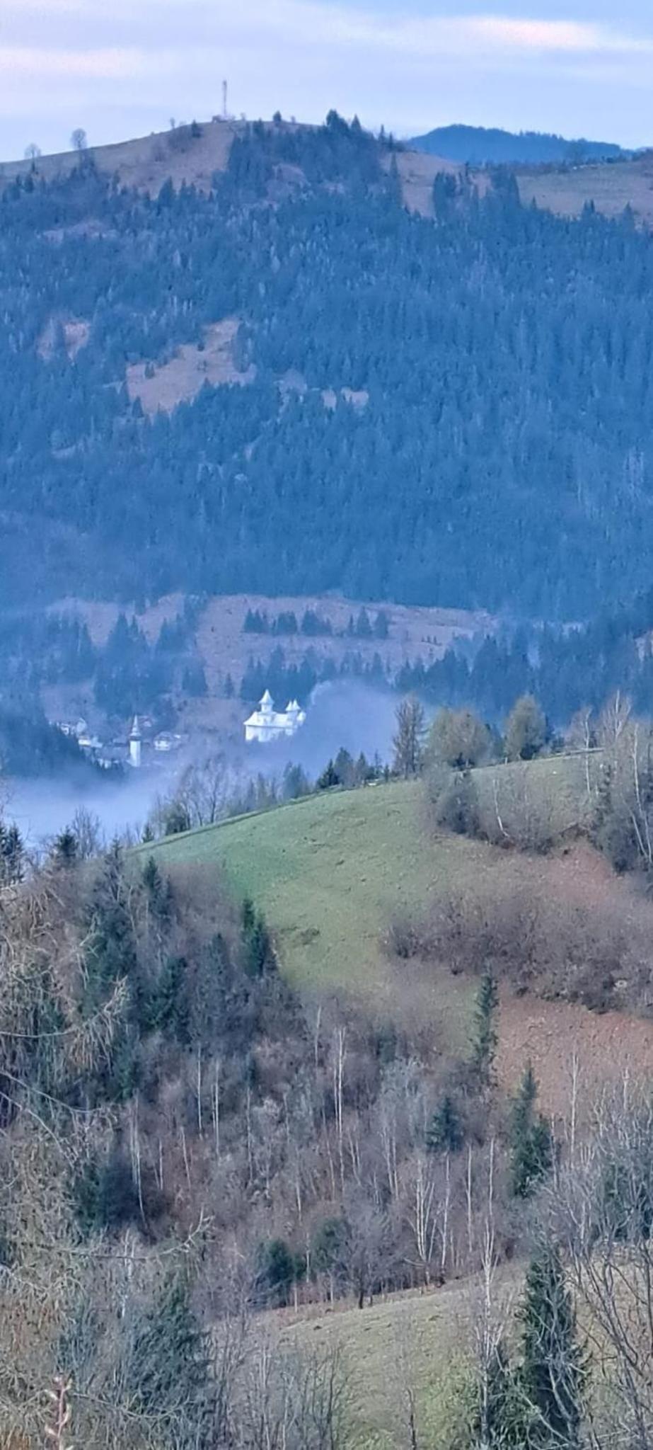 Pensiune Agroturistică Casa Alex view 5