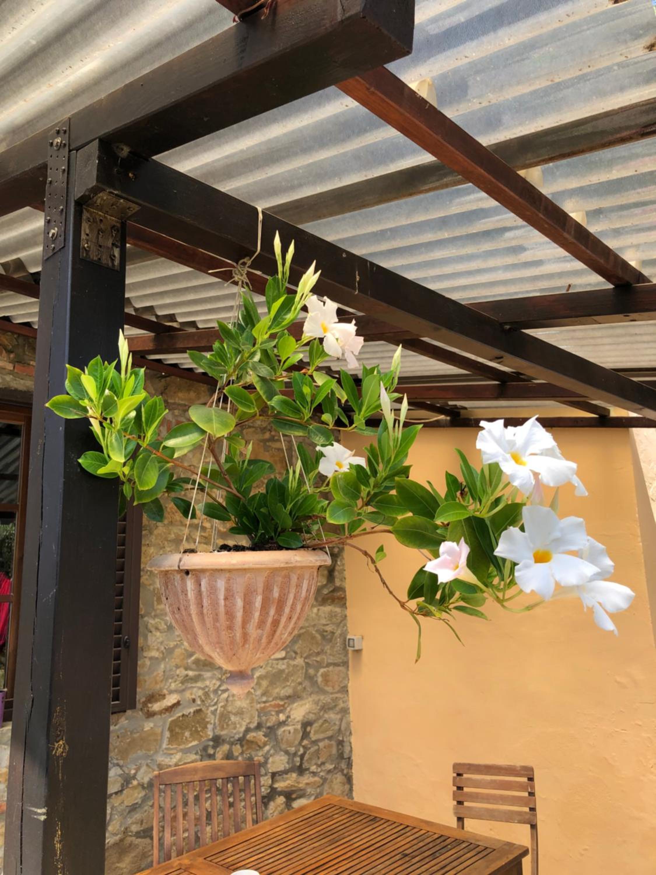 Casa Cielo