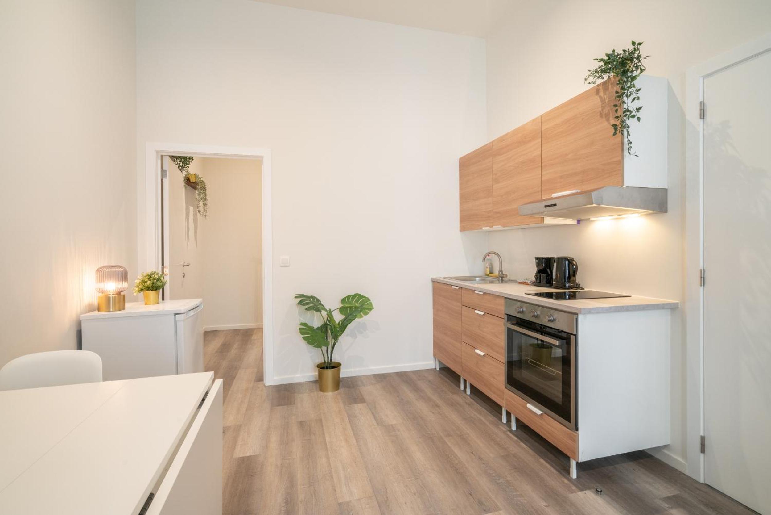 Cozy Antwerp City Apartments
