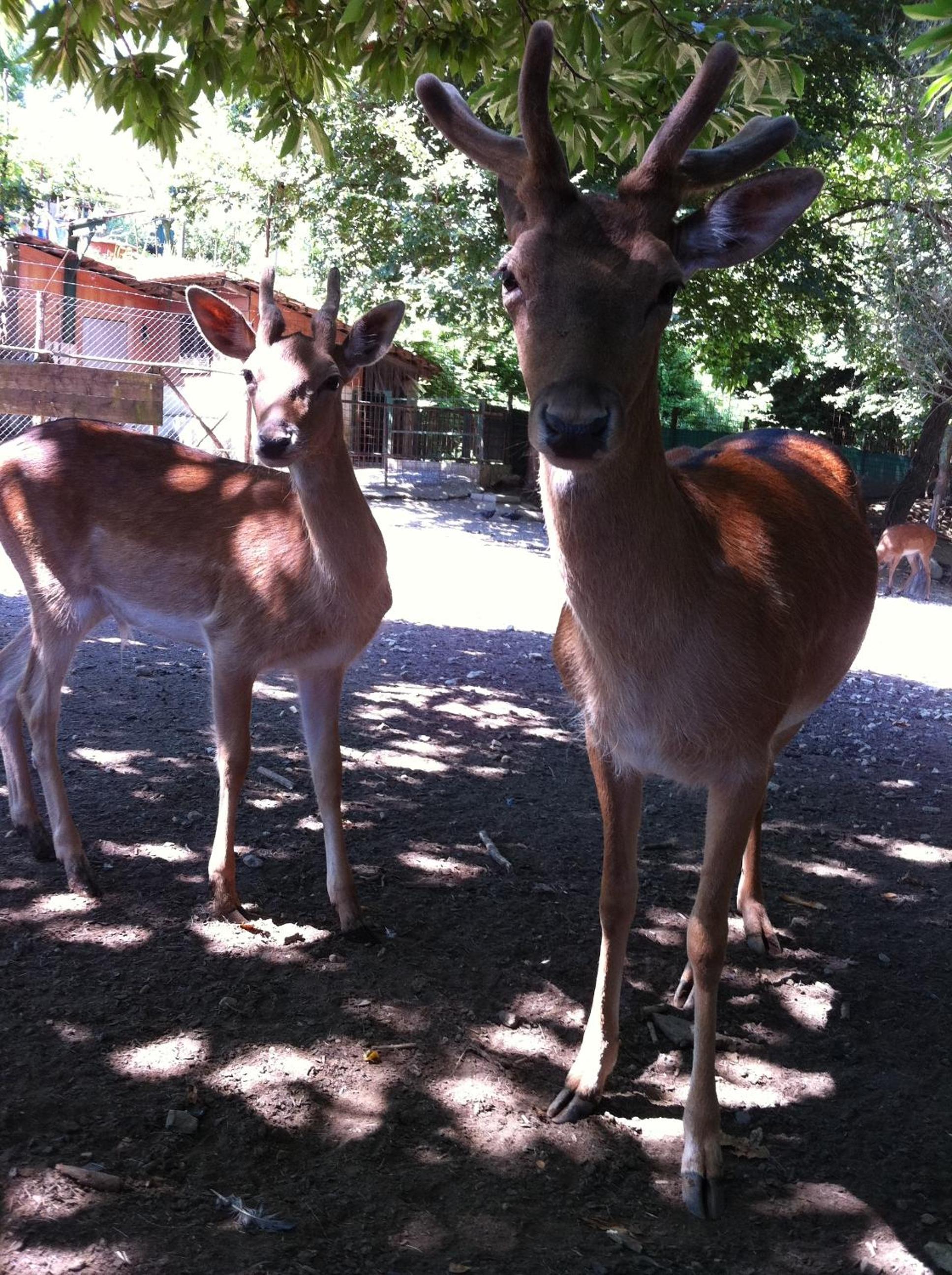 Villapiana Country Resort