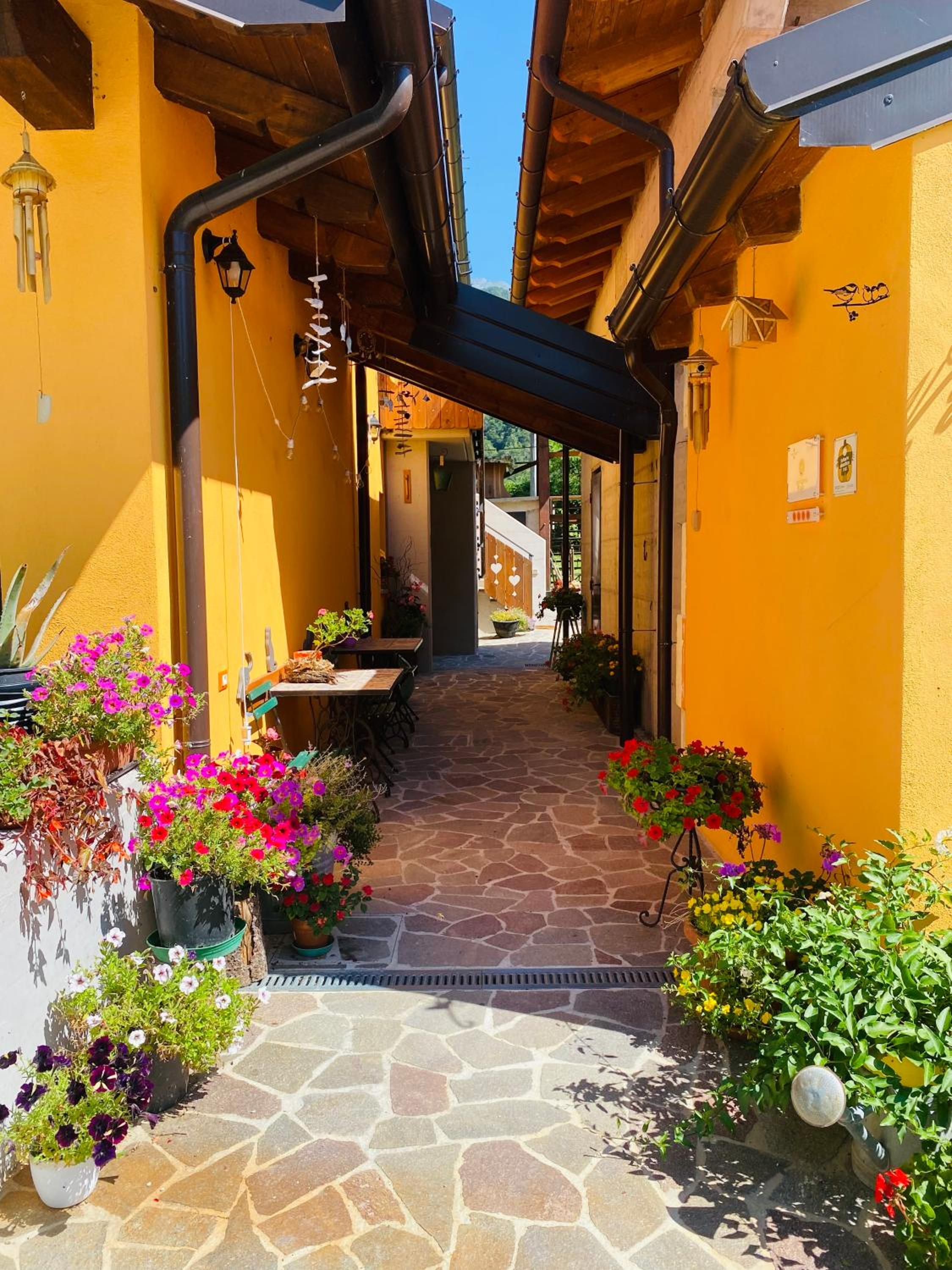 Alloggio agrituristico Pociat