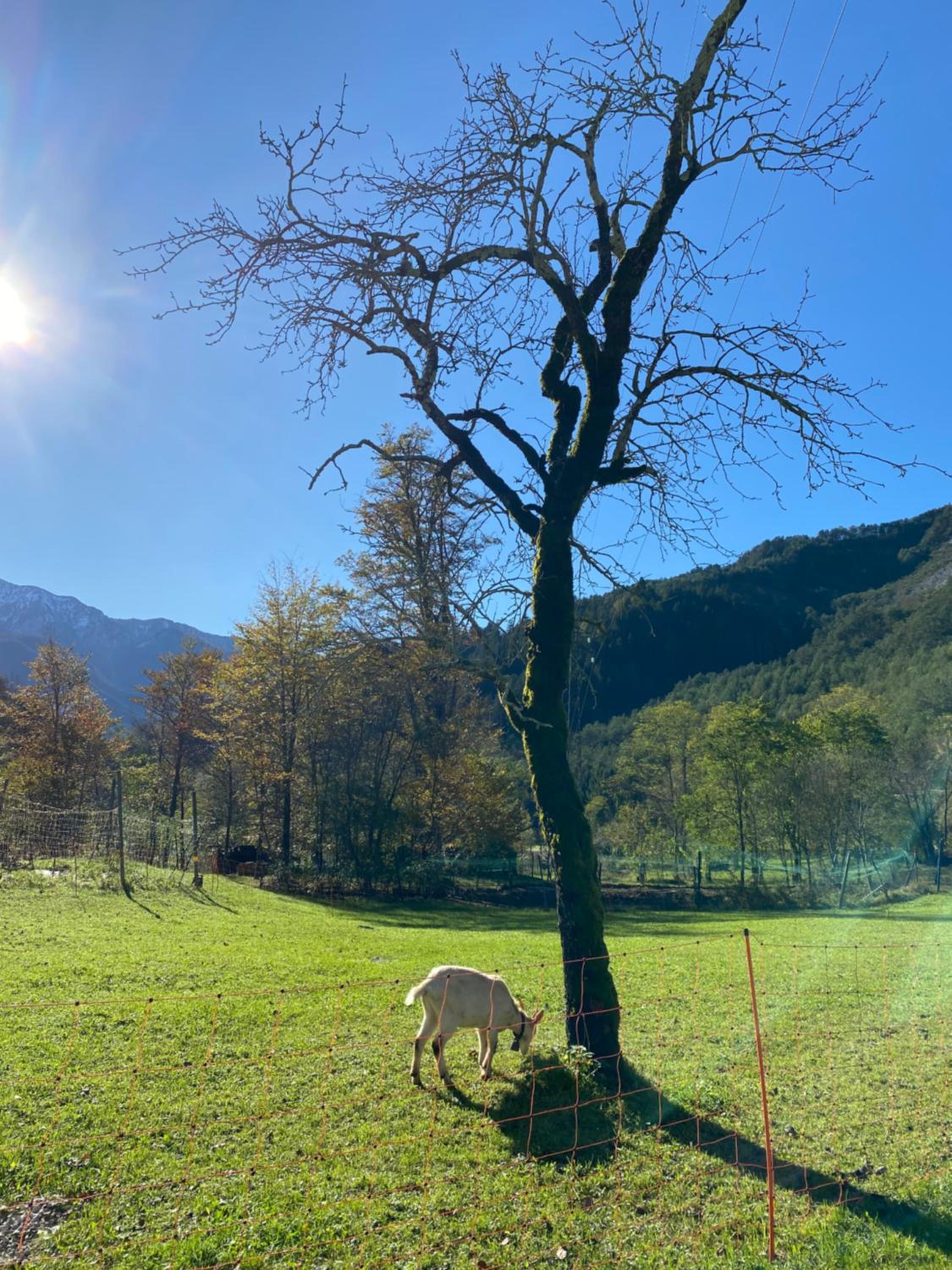 Alloggio agrituristico Pociat