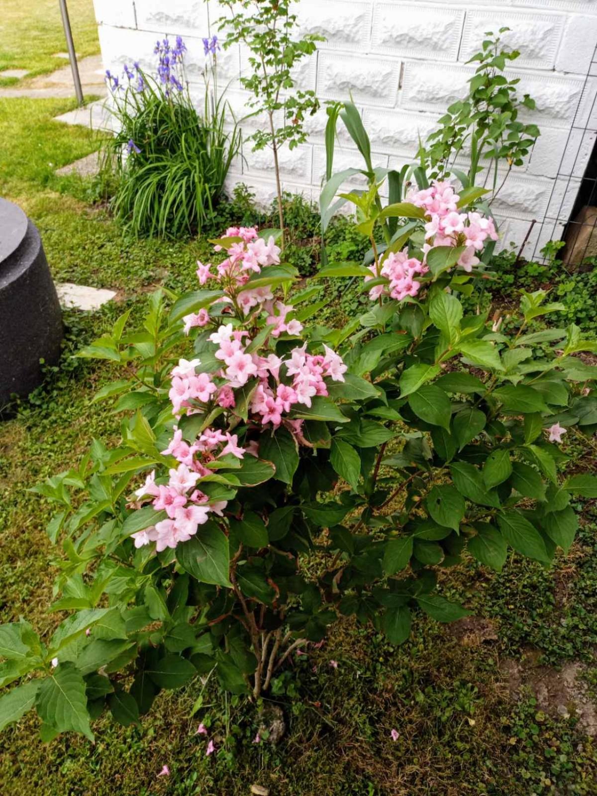 Photo 26