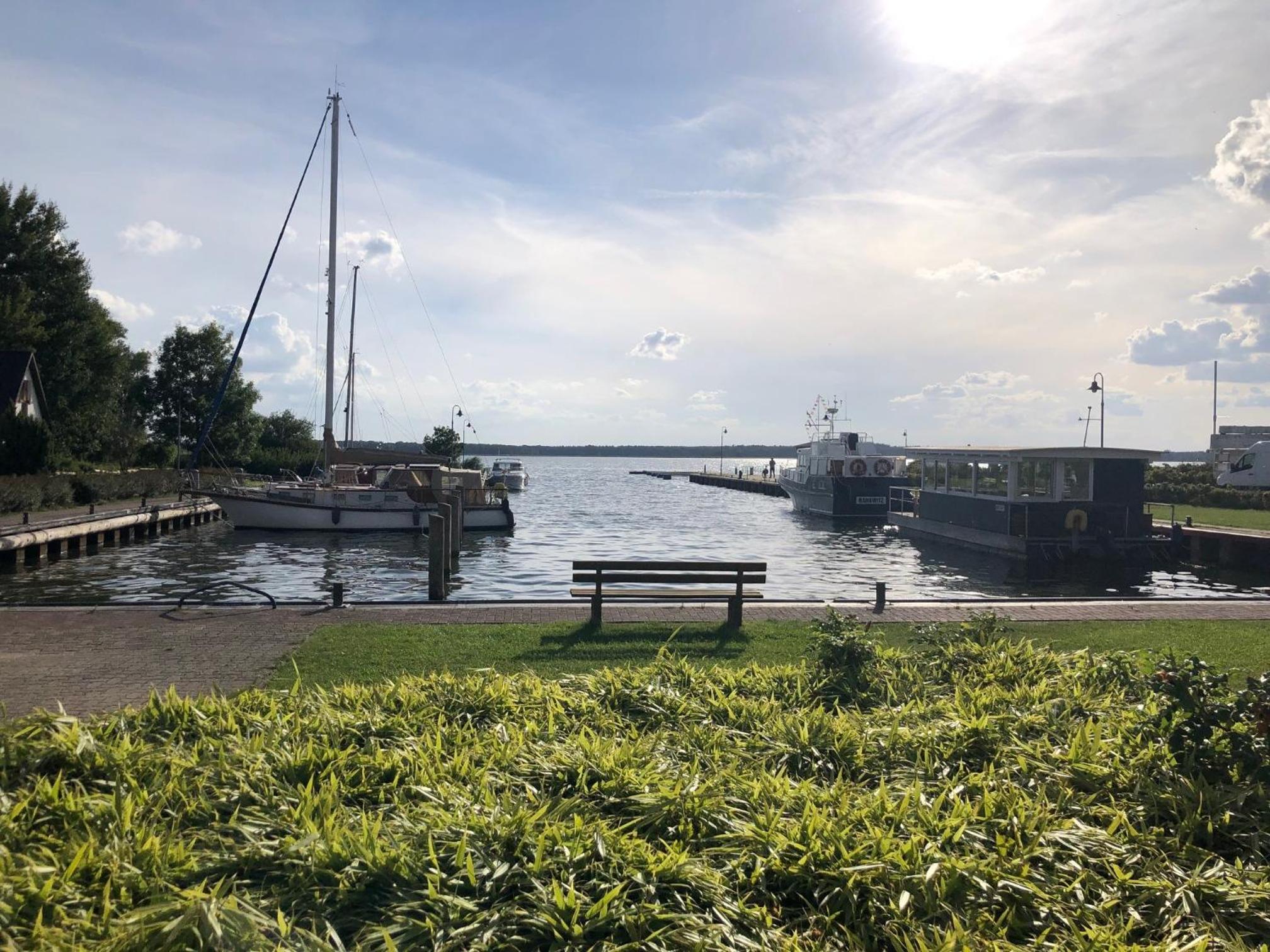 Reethus-am-Hafen Reetdachhaus Westbrise mit Garten und Blick aufs Wasser