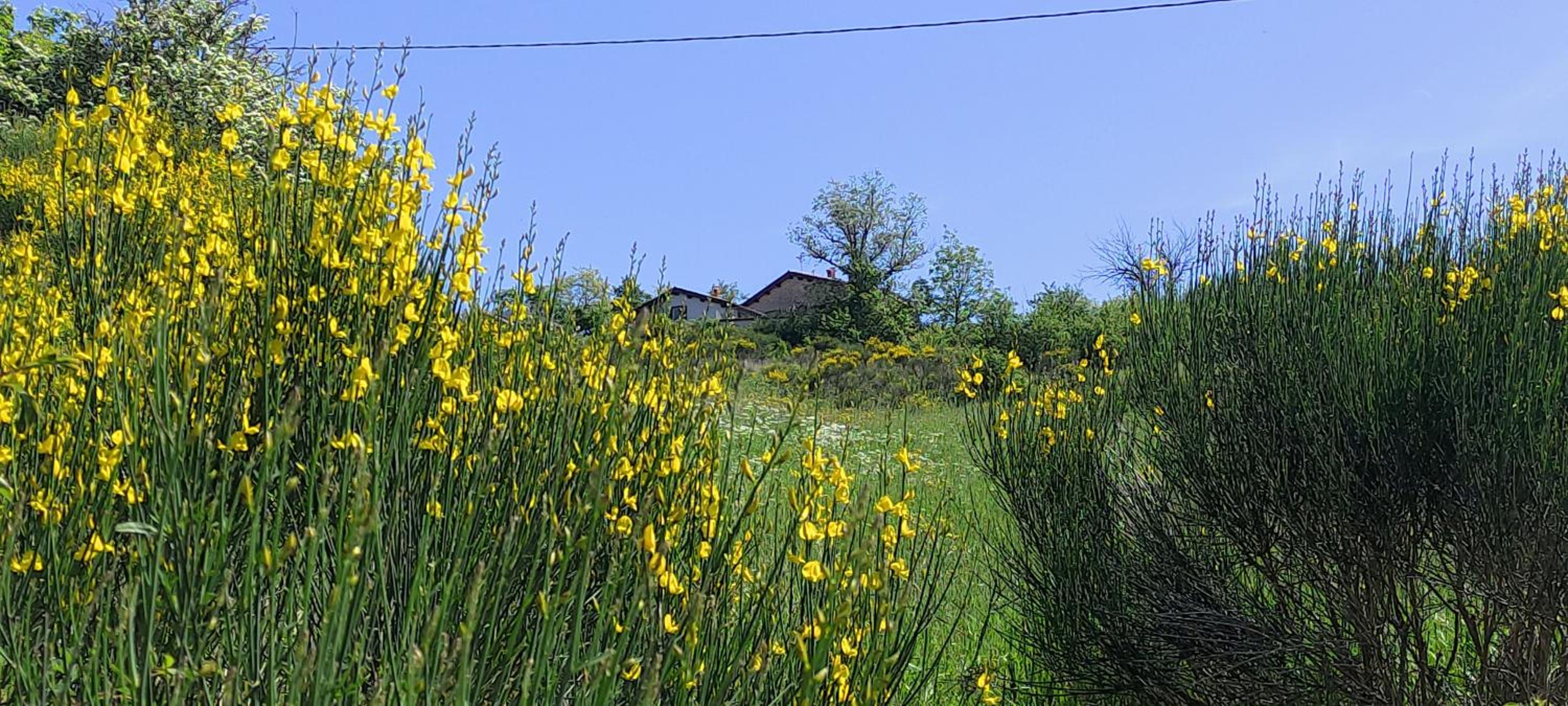 Photo 34