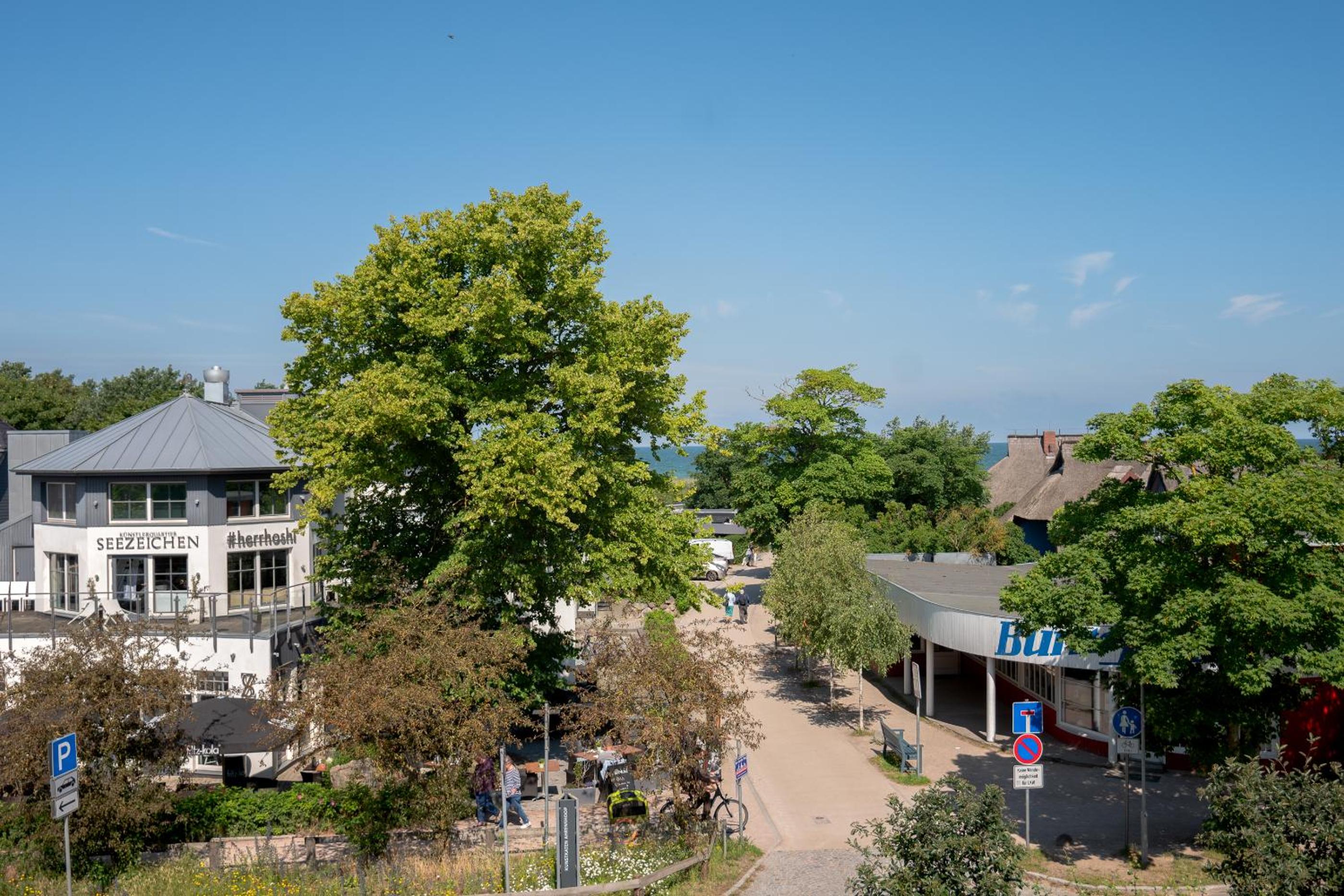 Strandläufer 03