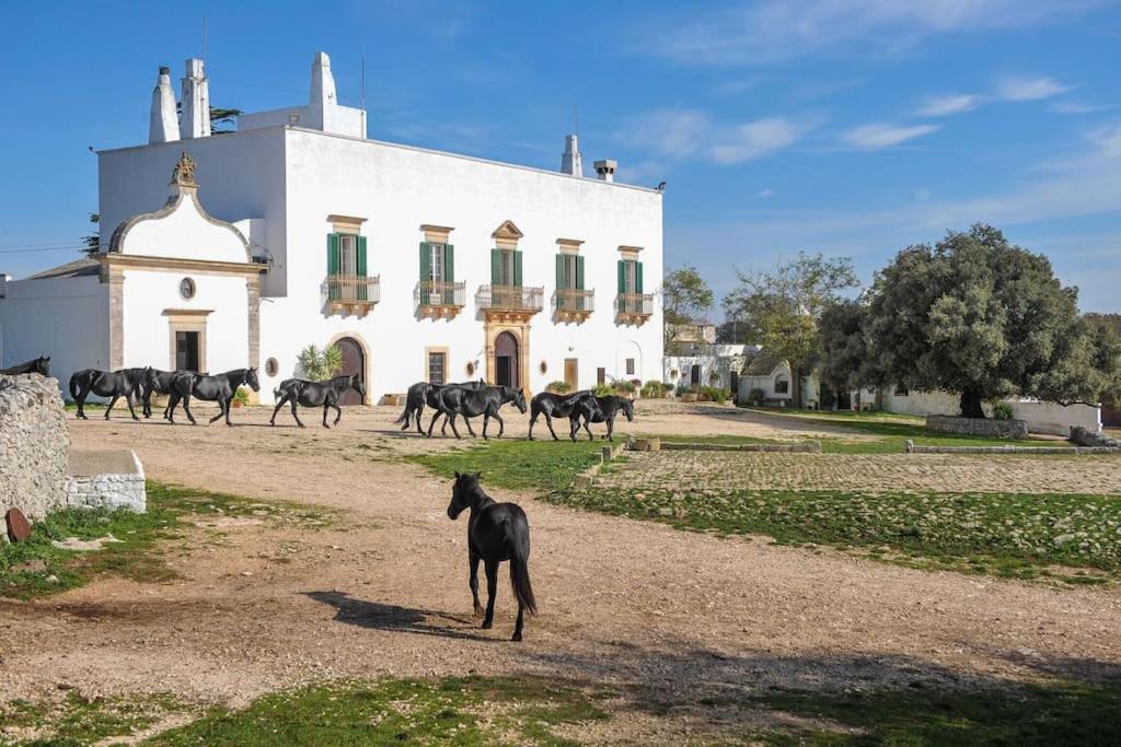 Hotel Masseria Tagliente By Raro Villas - Image 1