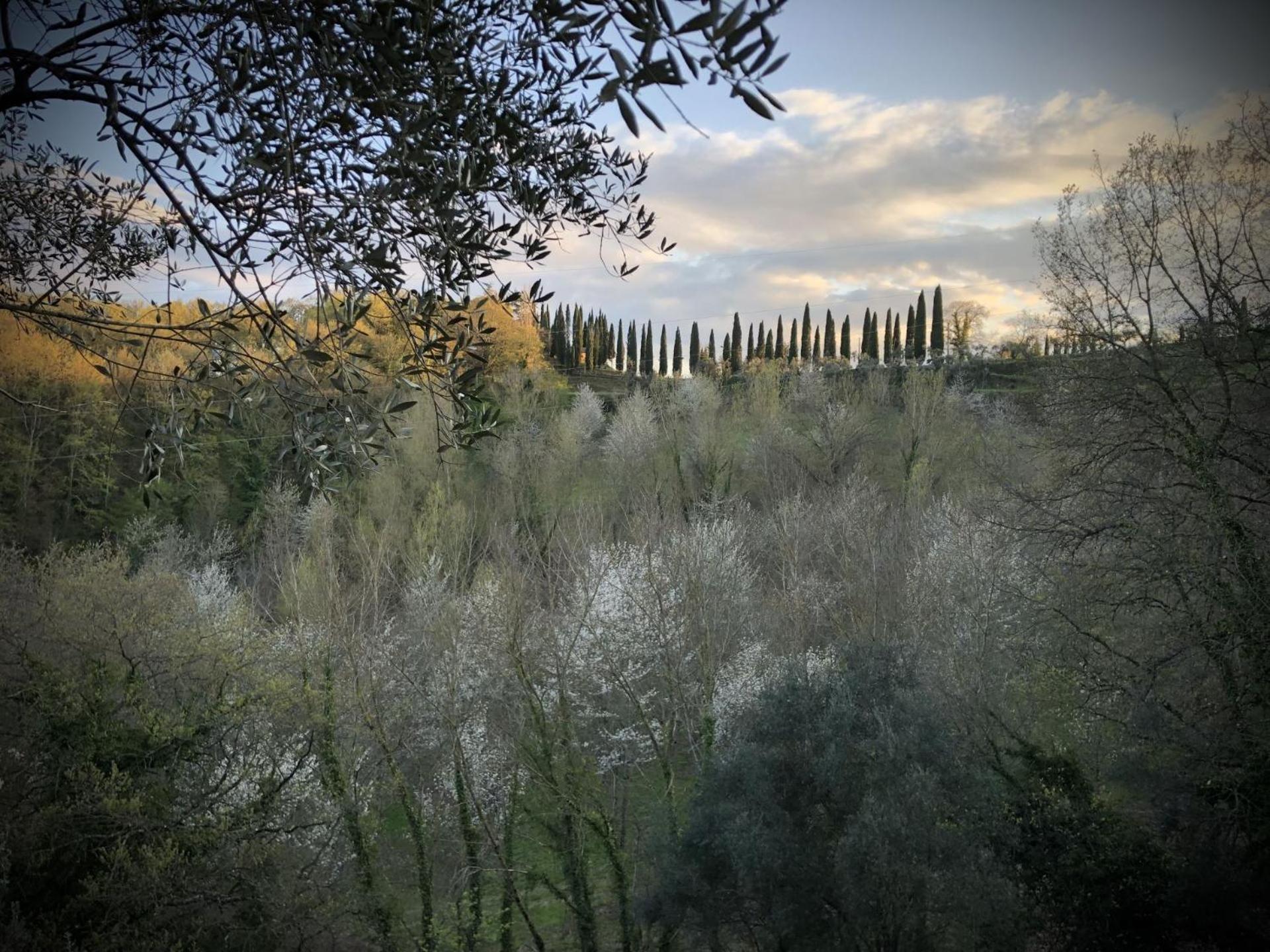 Borgo Melograno