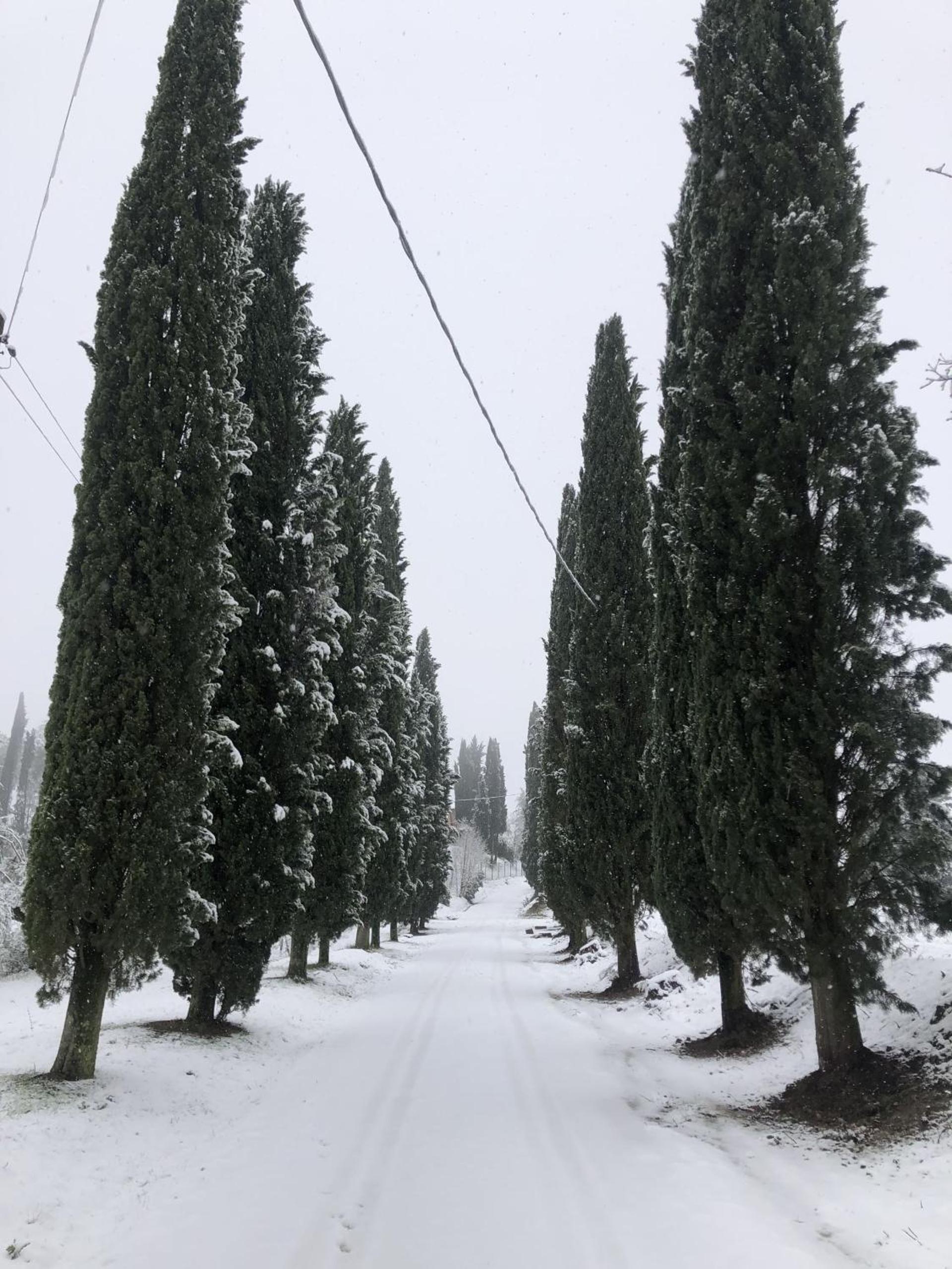 Borgo Melograno