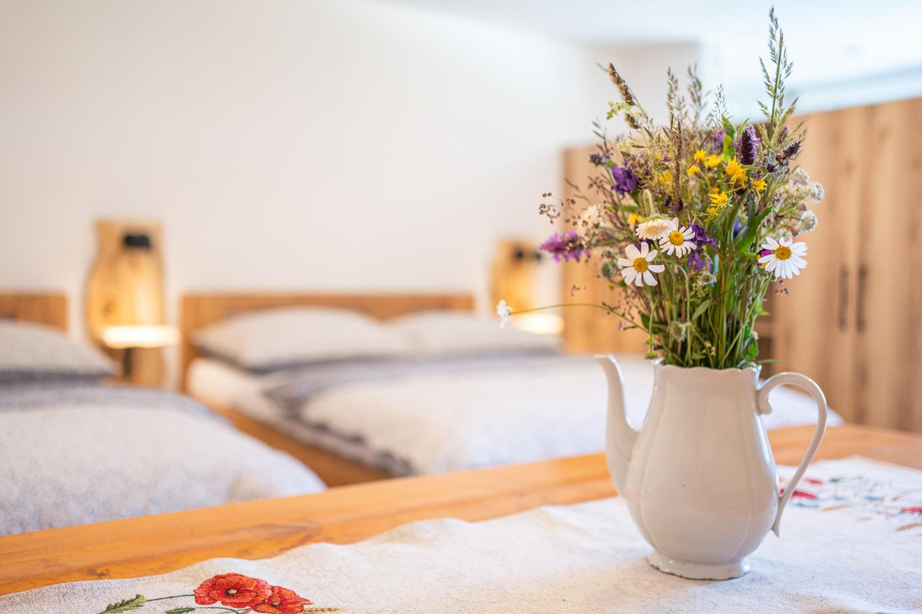 Apartmány pod Rozsutcom - Zaťkov dvor view 3