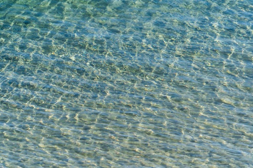 Seaview Bliss - Playa Flamenca Beachfront Bungalow