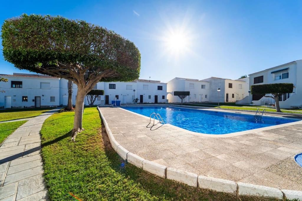 Seaview Bliss - Playa Flamenca Beachfront Bungalow