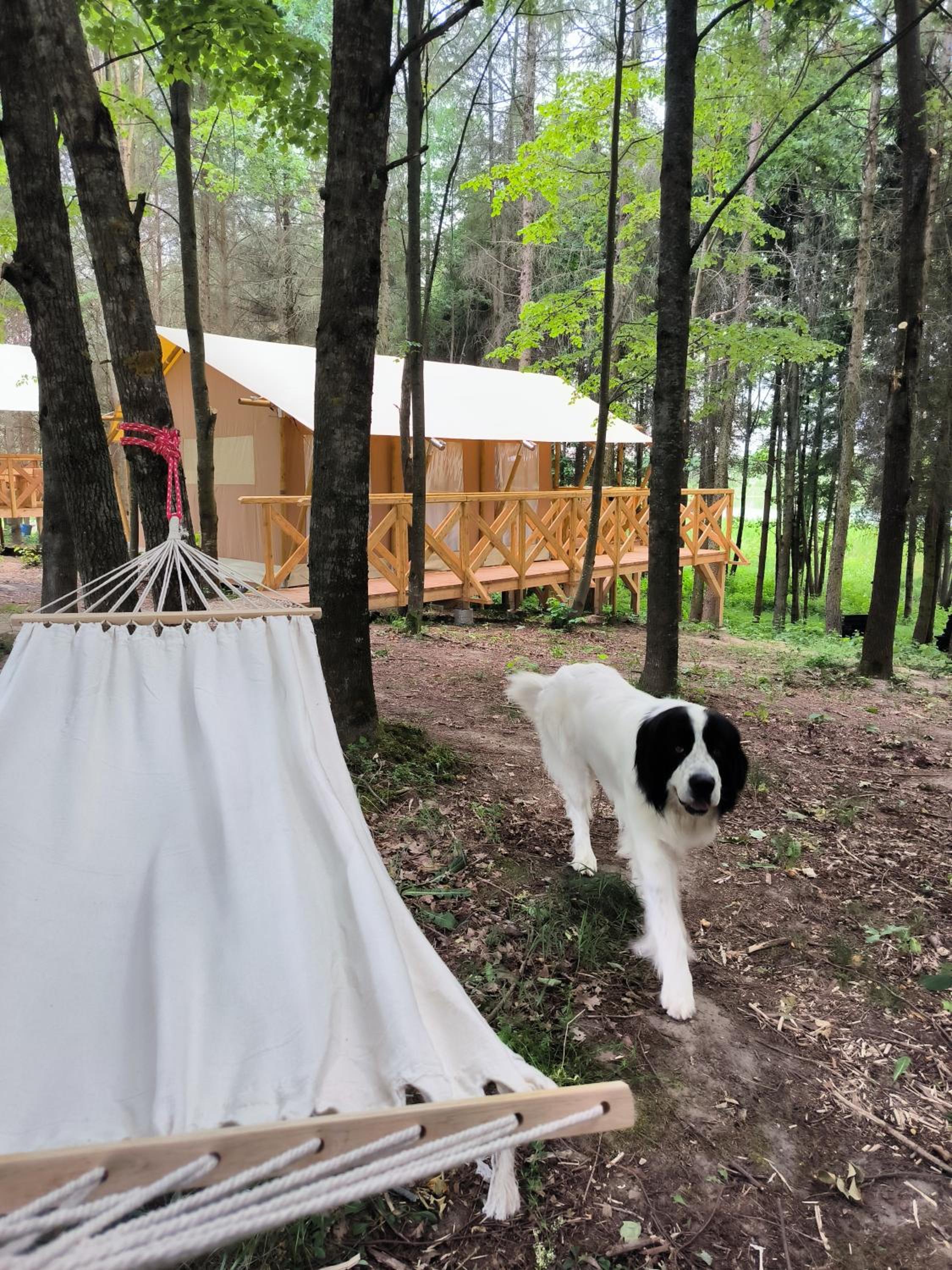 Glamping Mazury - Przystań Jeziorany