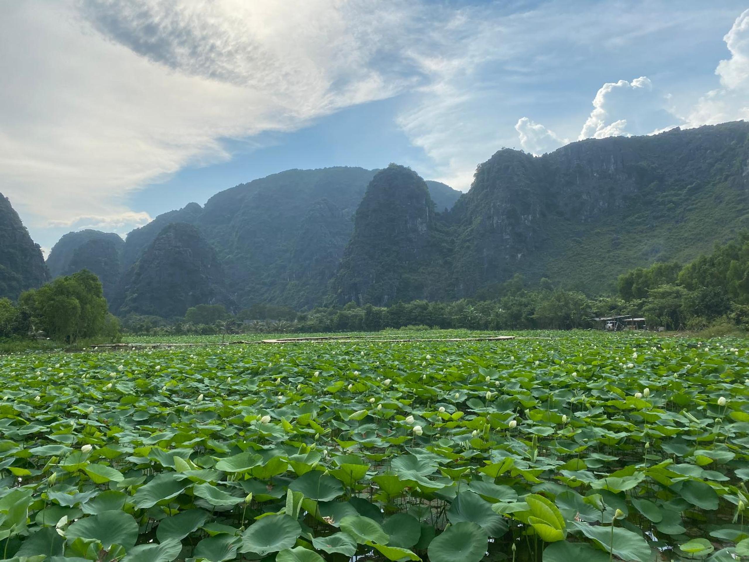 Halise Sanctuary Ninh Binh