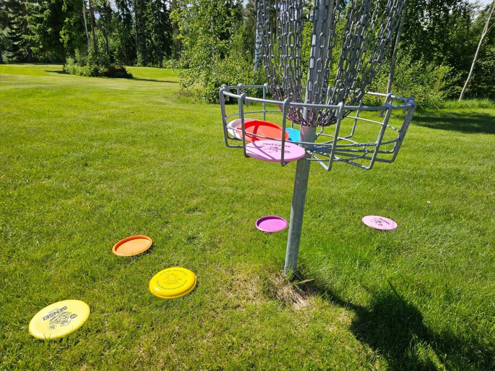 Photo 12