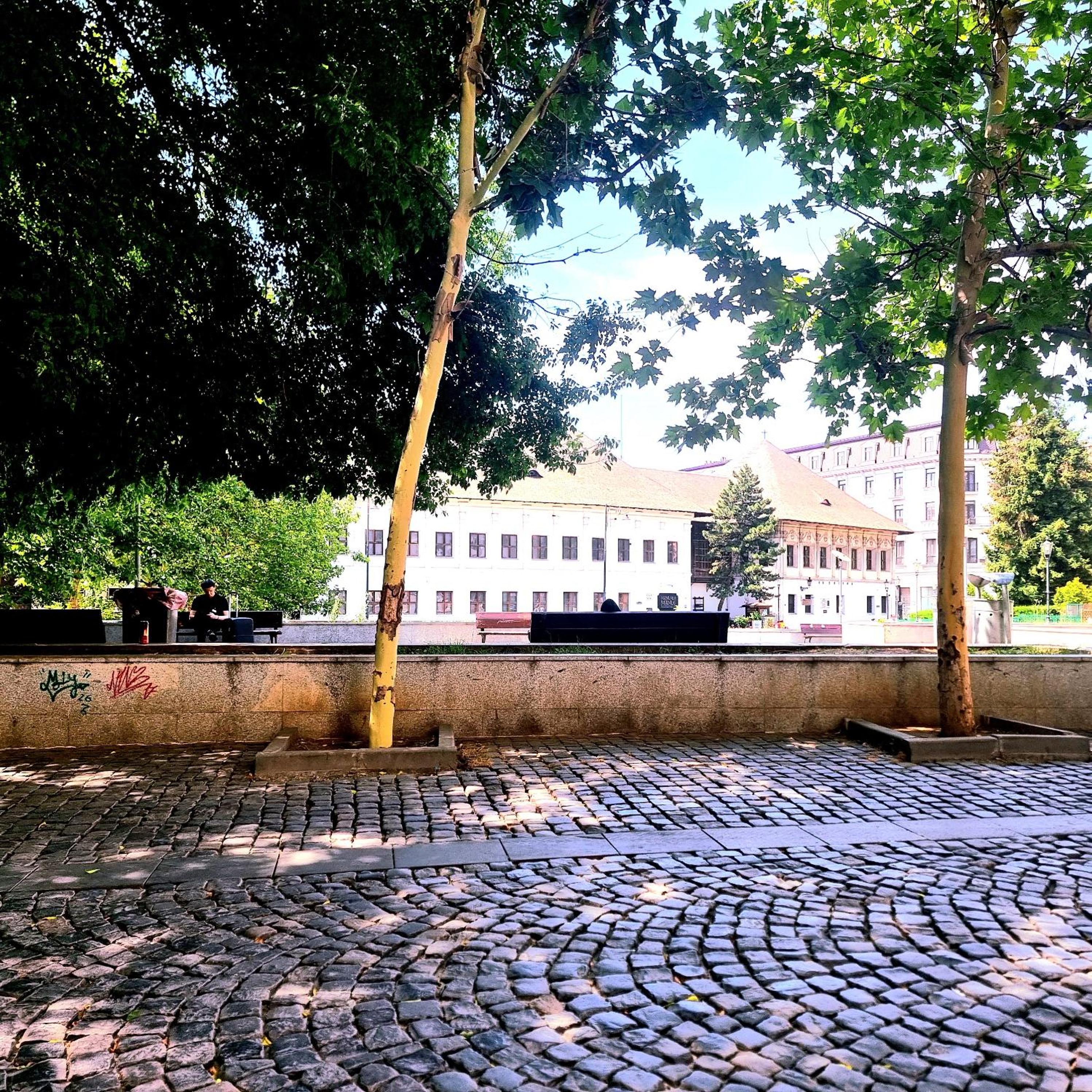 Pet Friendly- Charming Escape 1BR Heart of Old Town view 5
